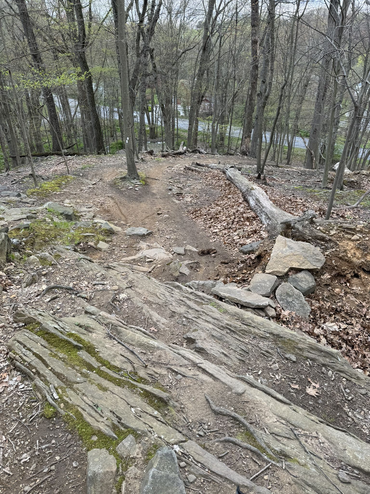 Rocky dirt trail descends through a bare forest with distant houses. - Slickrock section loop from Sprain Ridge Park