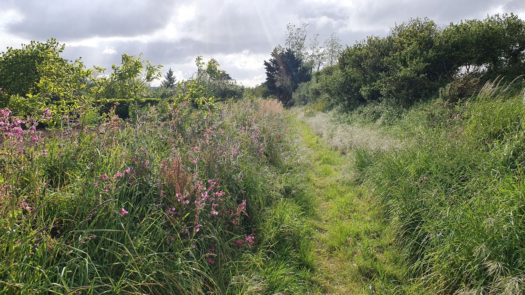 schöner als Feldweg oder gar Straße