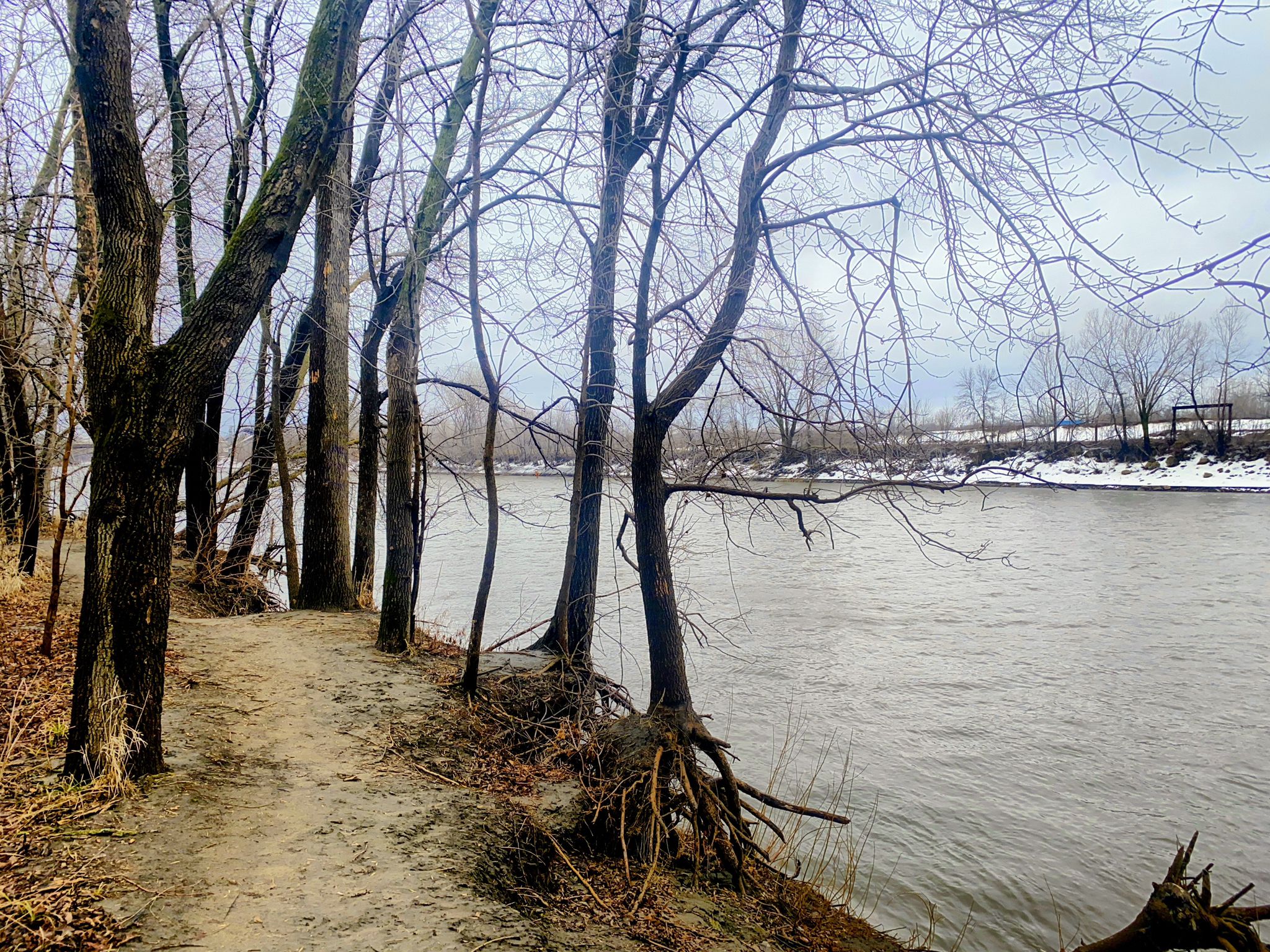 Dirt path along a riverbank with bare trees and some snow, overcast. - View of the Minnesota River – Hand-Pulled Bike Ferry loop from John F. Kennedy High School