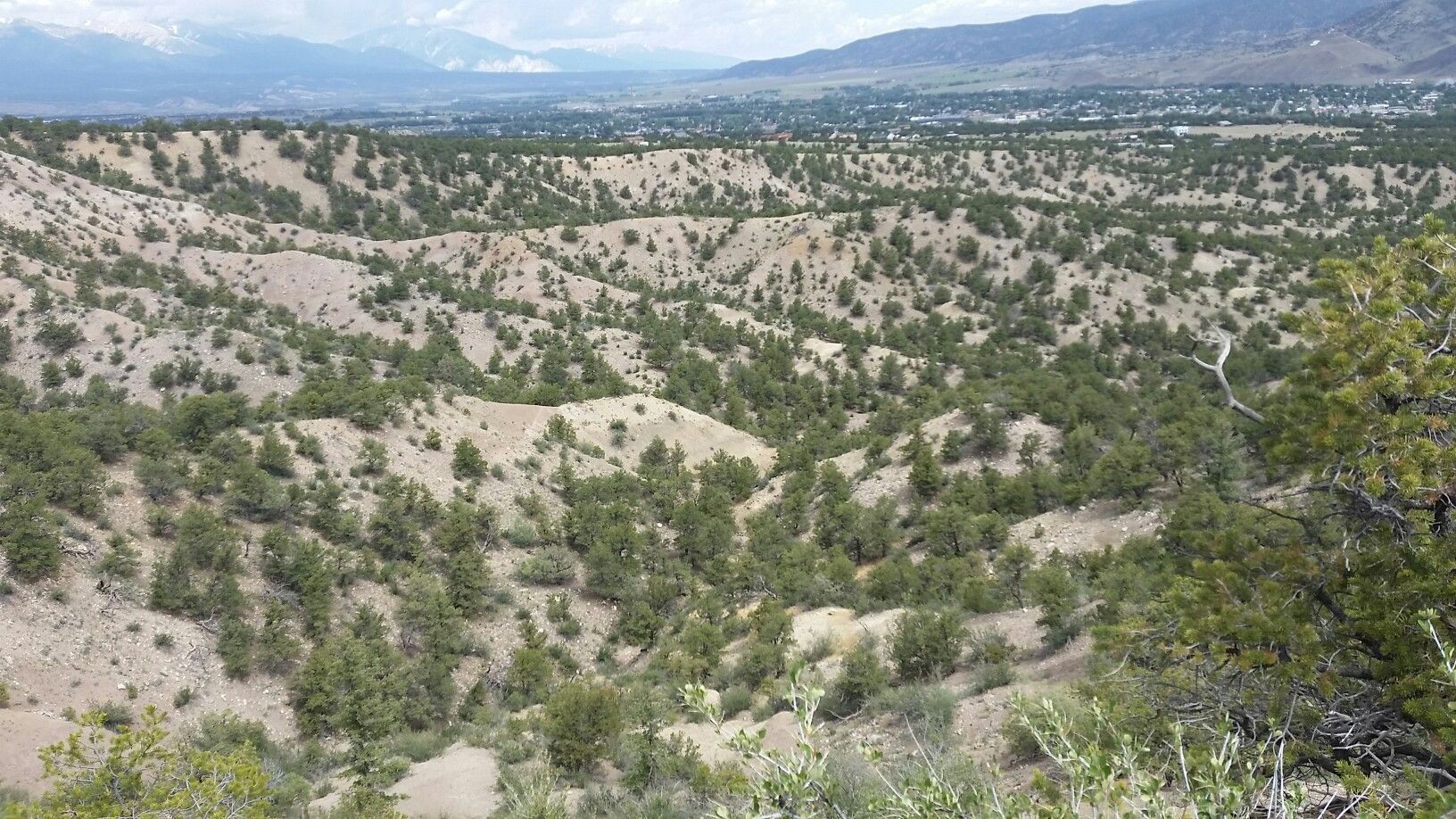 Arid rolling hills covered with scattered green trees under an overcast sky. - Racetrack and Lost Trails loop