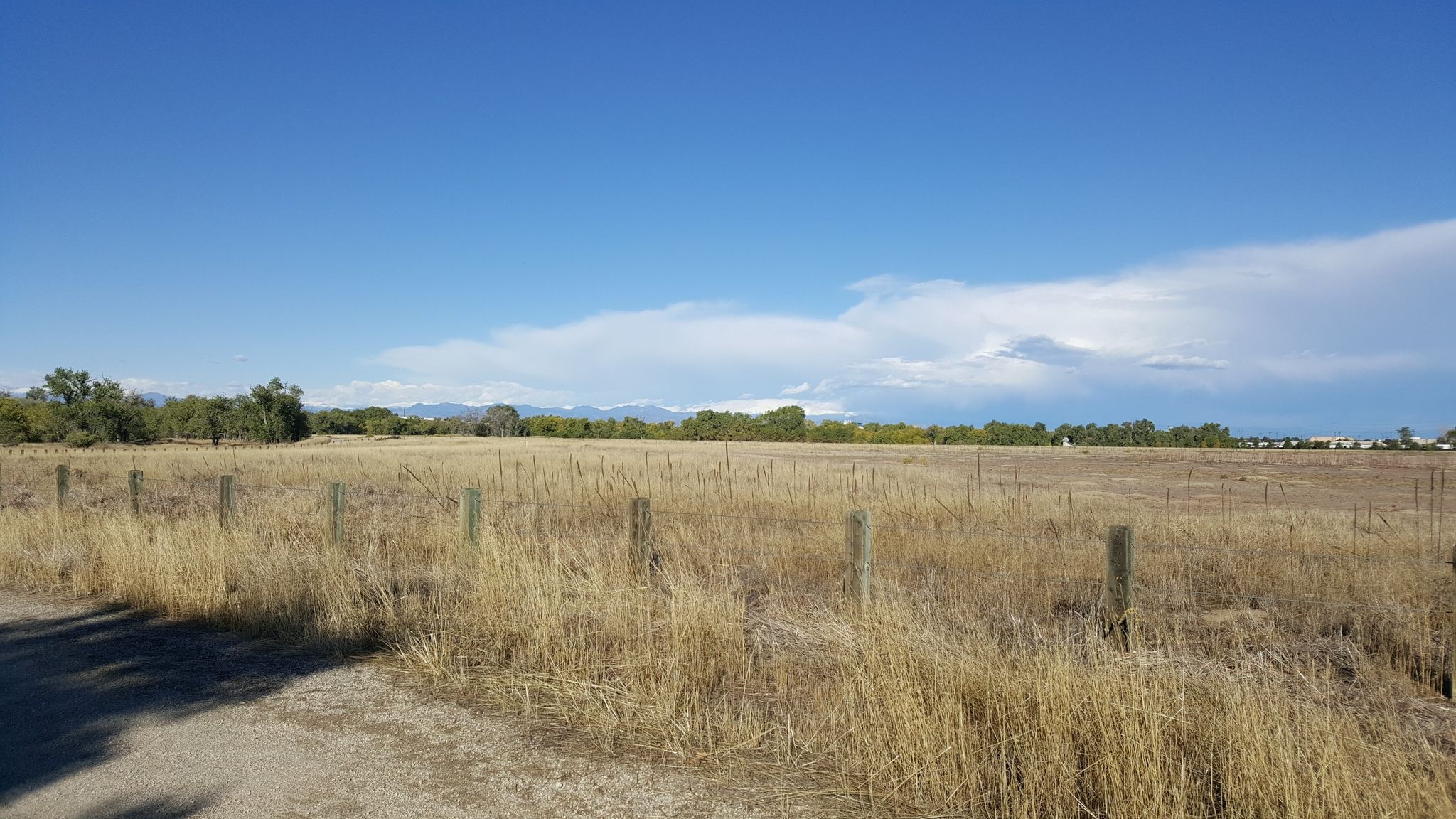 Expansive field of dry golden grass with fence posts under a bright blue sky. - Sand Creek Regional Greenway