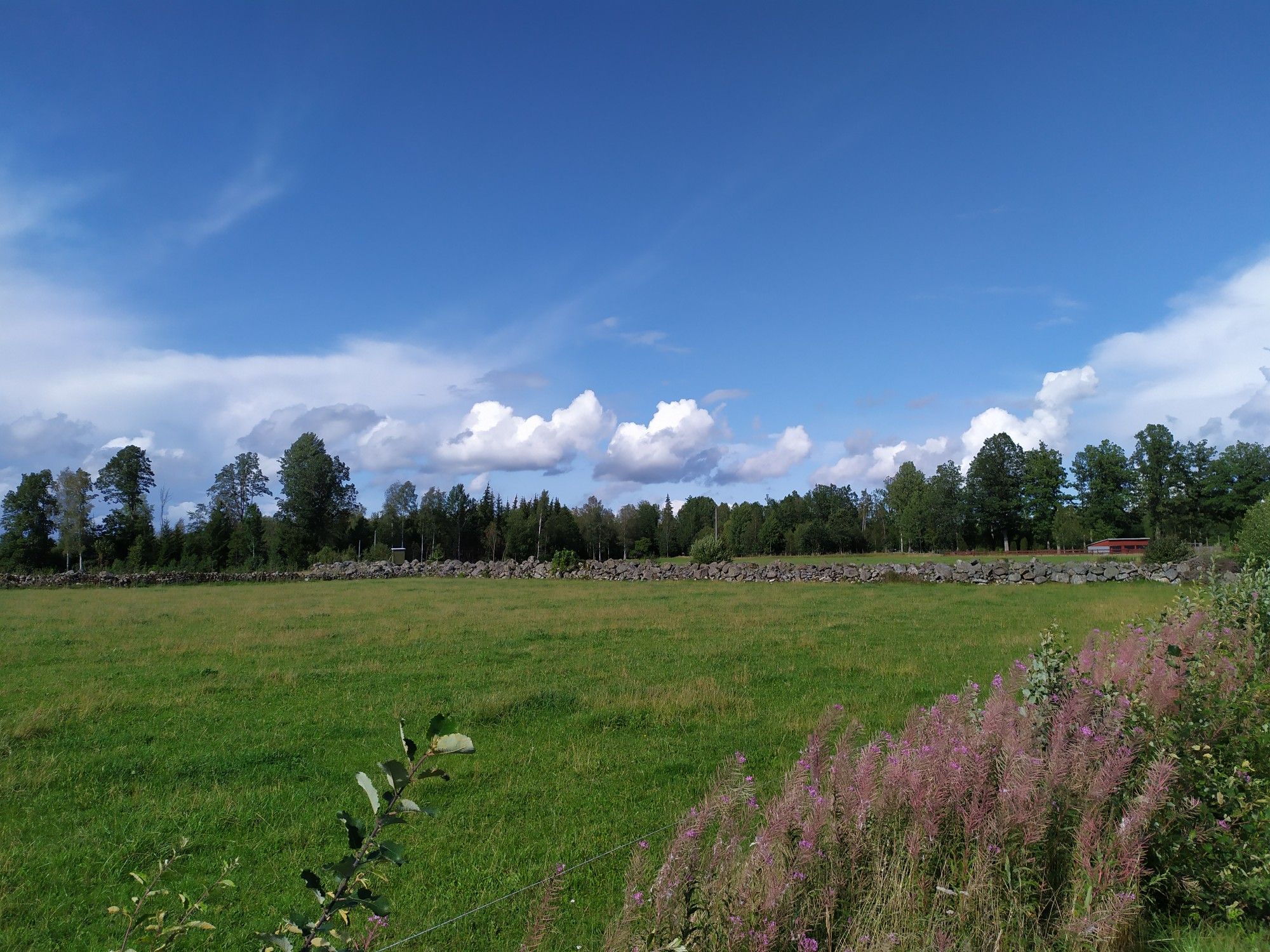 Bild 16