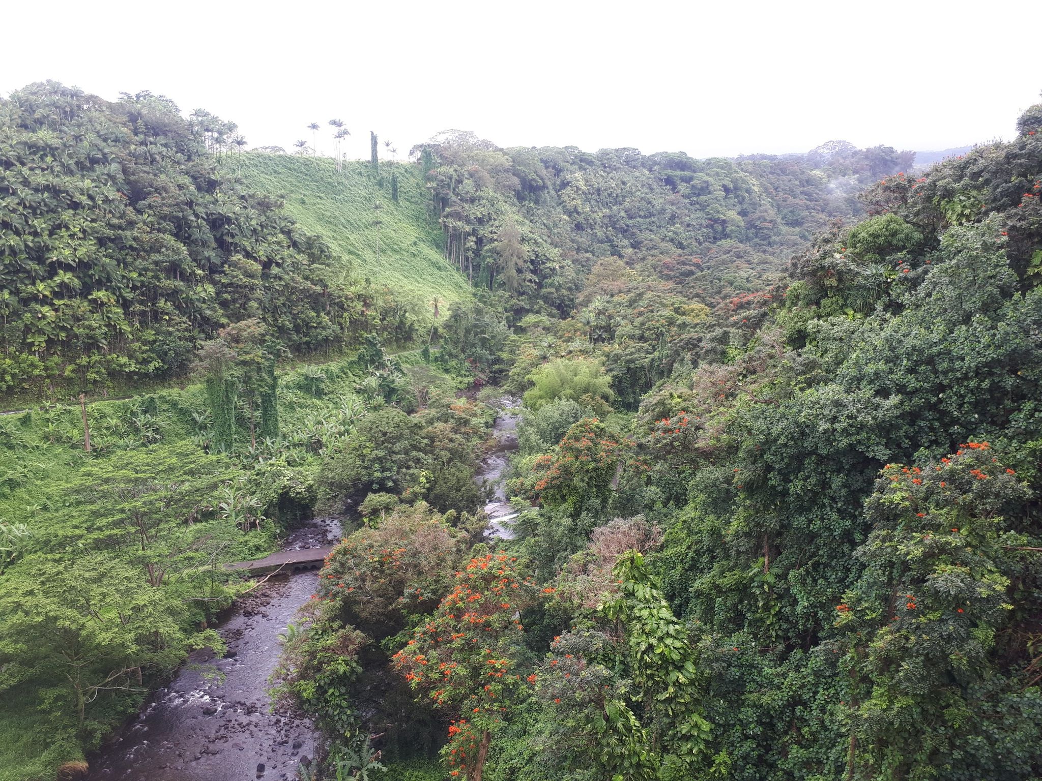 Lush green tropical valley with a winding river under overcast skies. - Kawaiku'i Beach Park loop via Umauma Falls