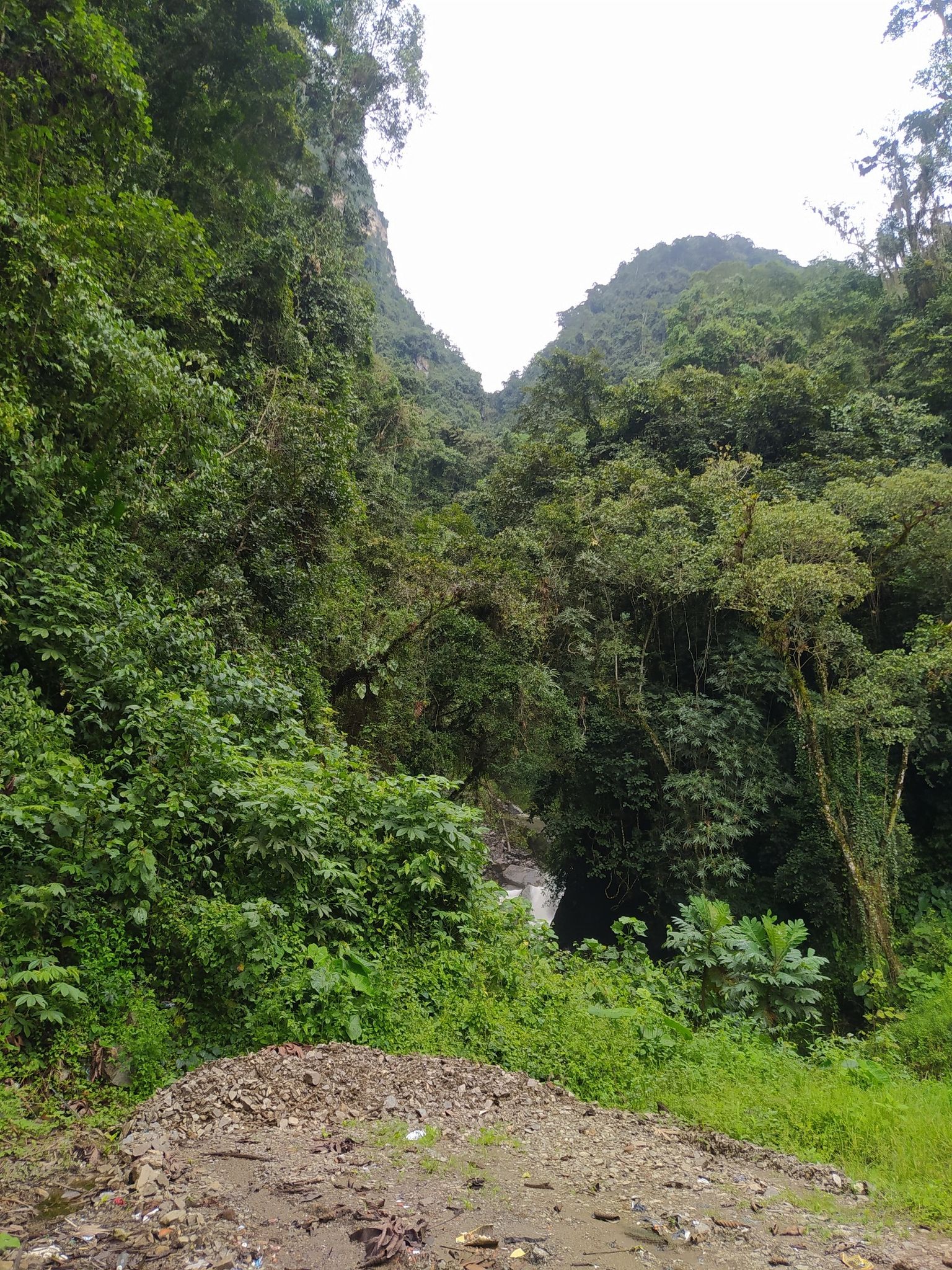 Chorrera