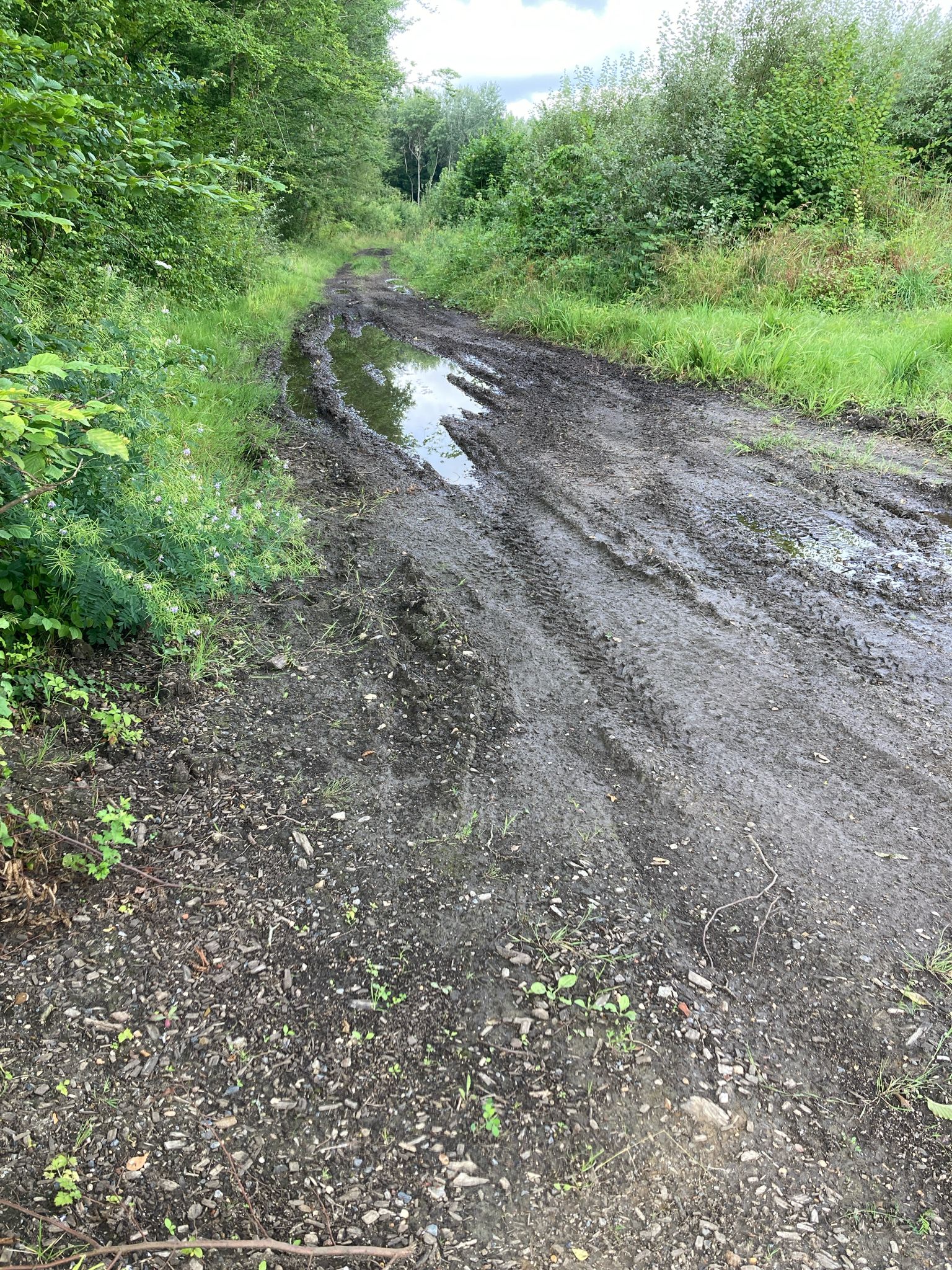 Da fahren wir nicht durch!