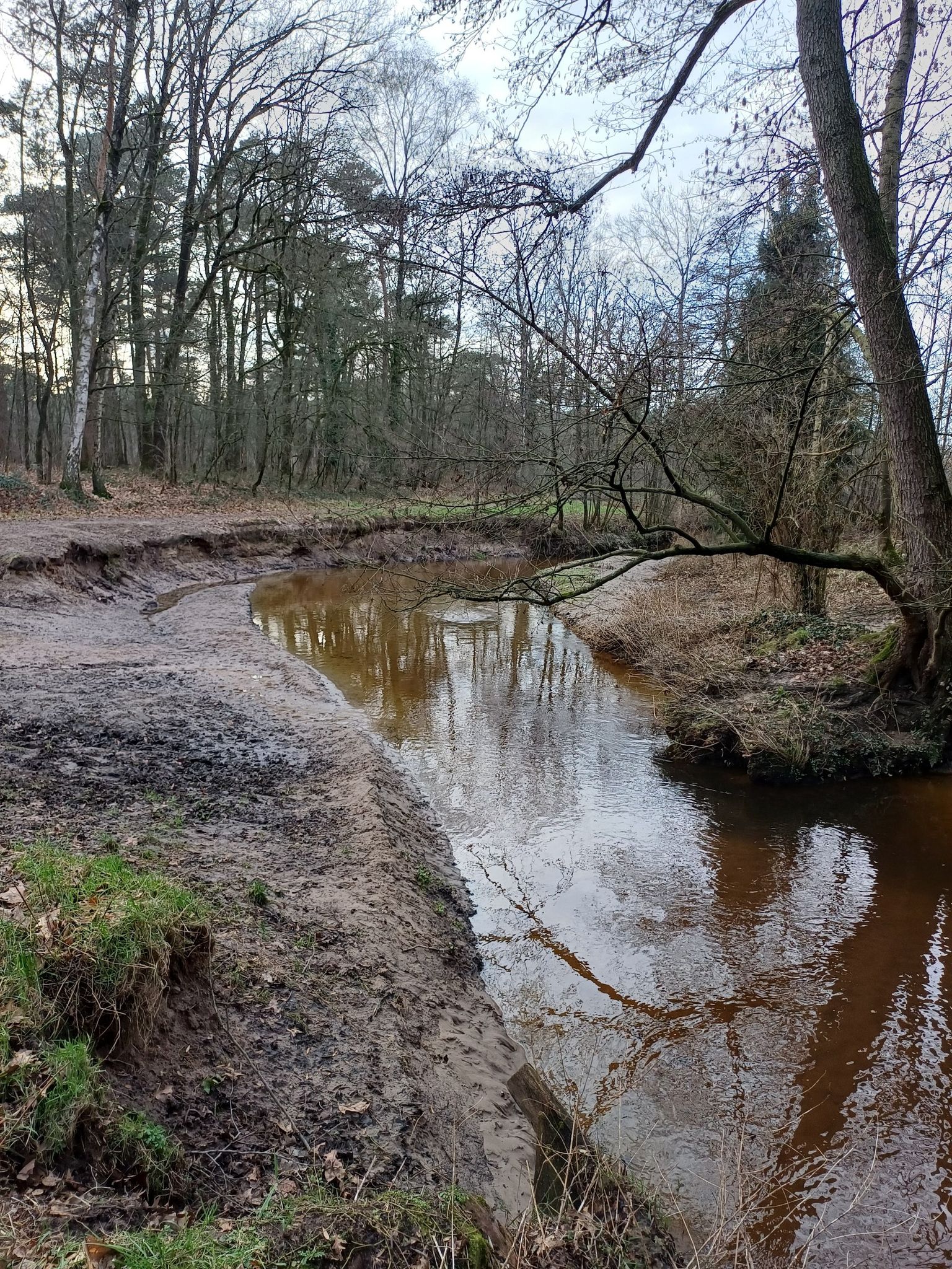 Der Gammelkerbbeek bei Het Hulsbeek hat sich im Laufe der Zeit tief im Boden eingegraben.