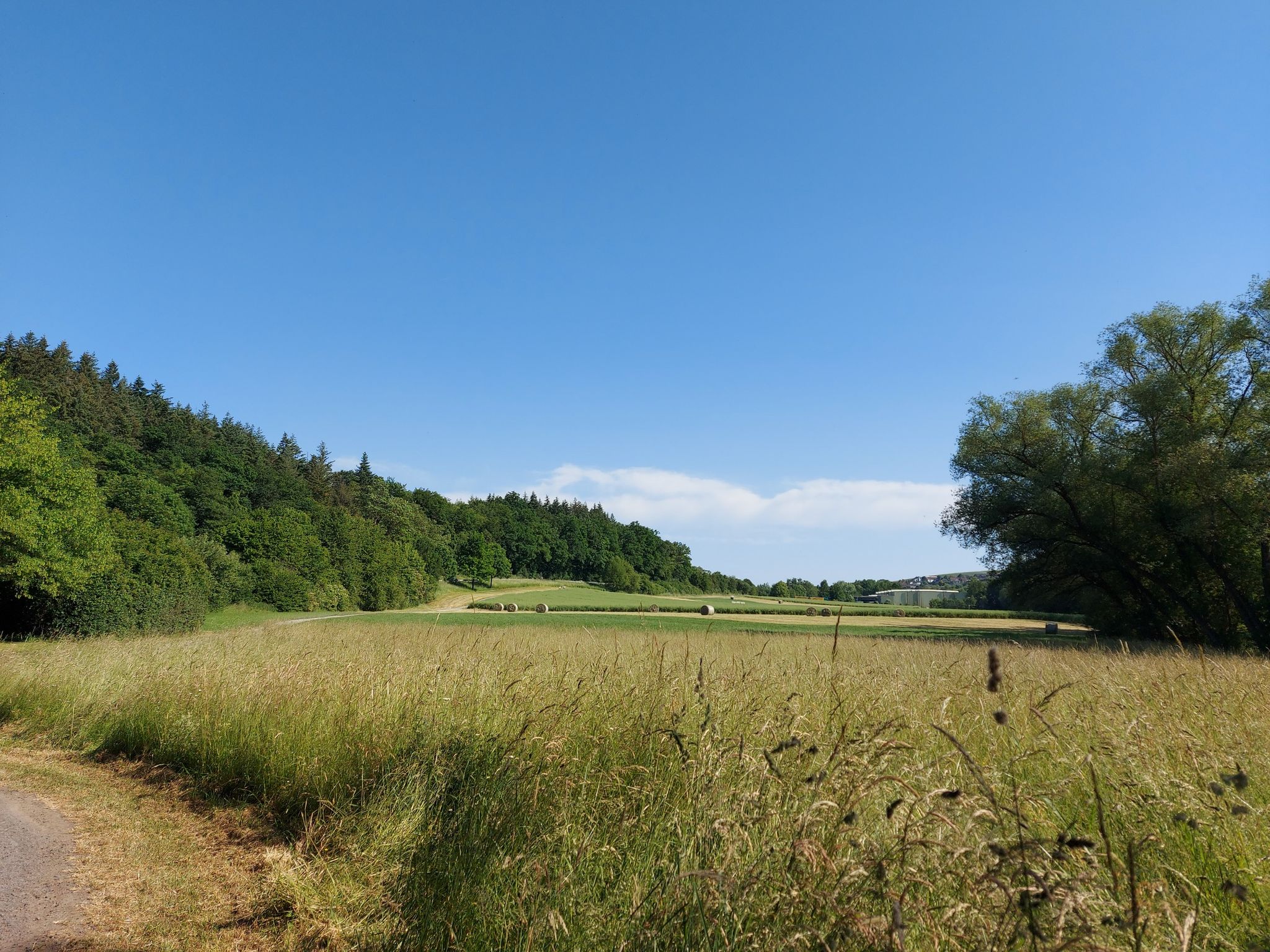 Blick Richtung O'selters