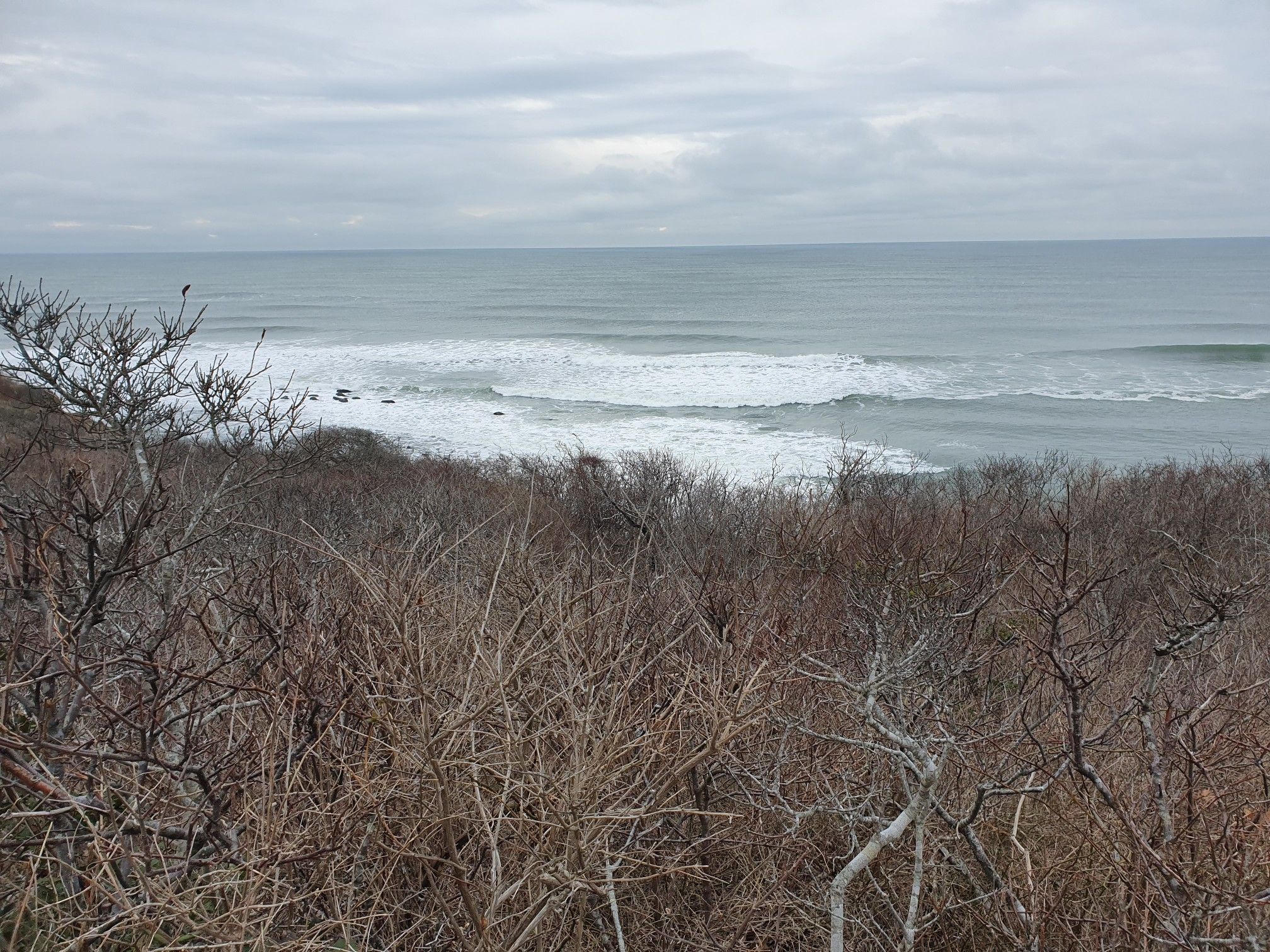 Overcast sky above choppy ocean waves and bare coastal shrubs. - Point Woods Loop Trail