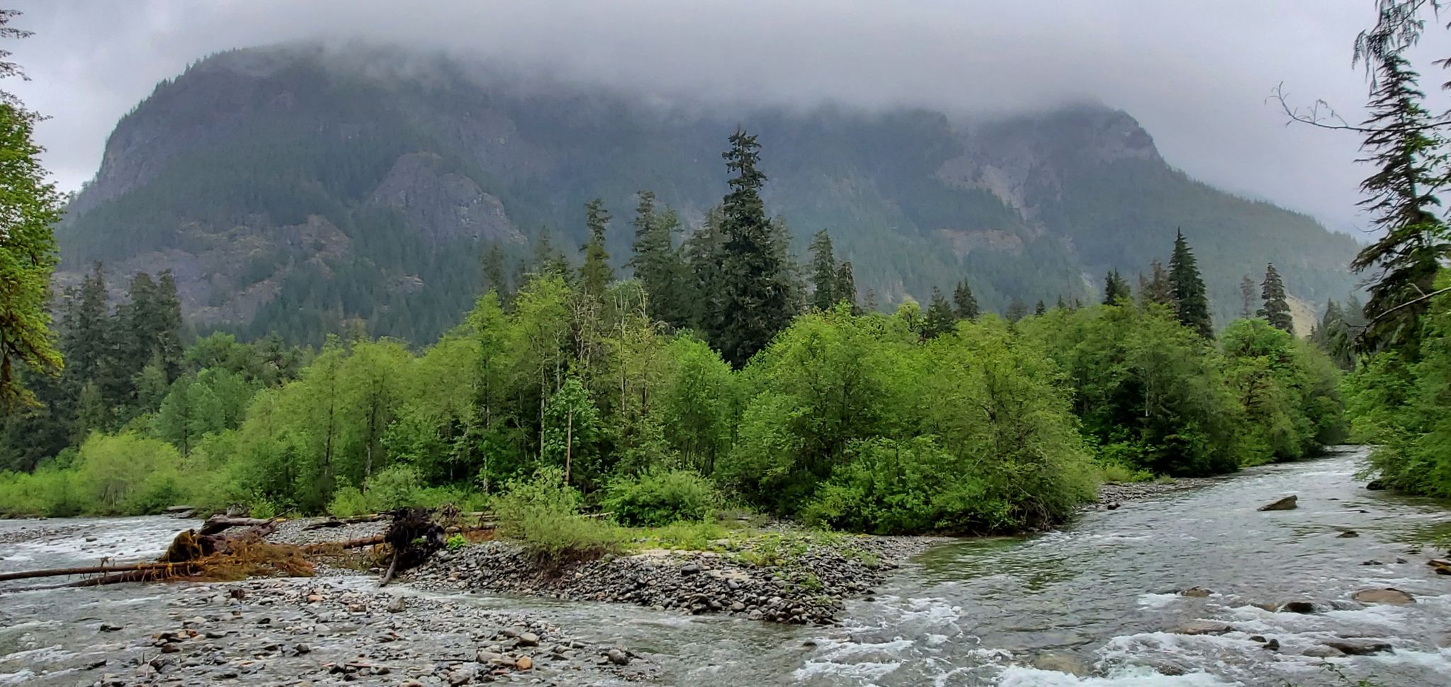 A wide river flows through a lush forest with a cloud-covered mountain. - Middle Fork Snoqualmie River Trail