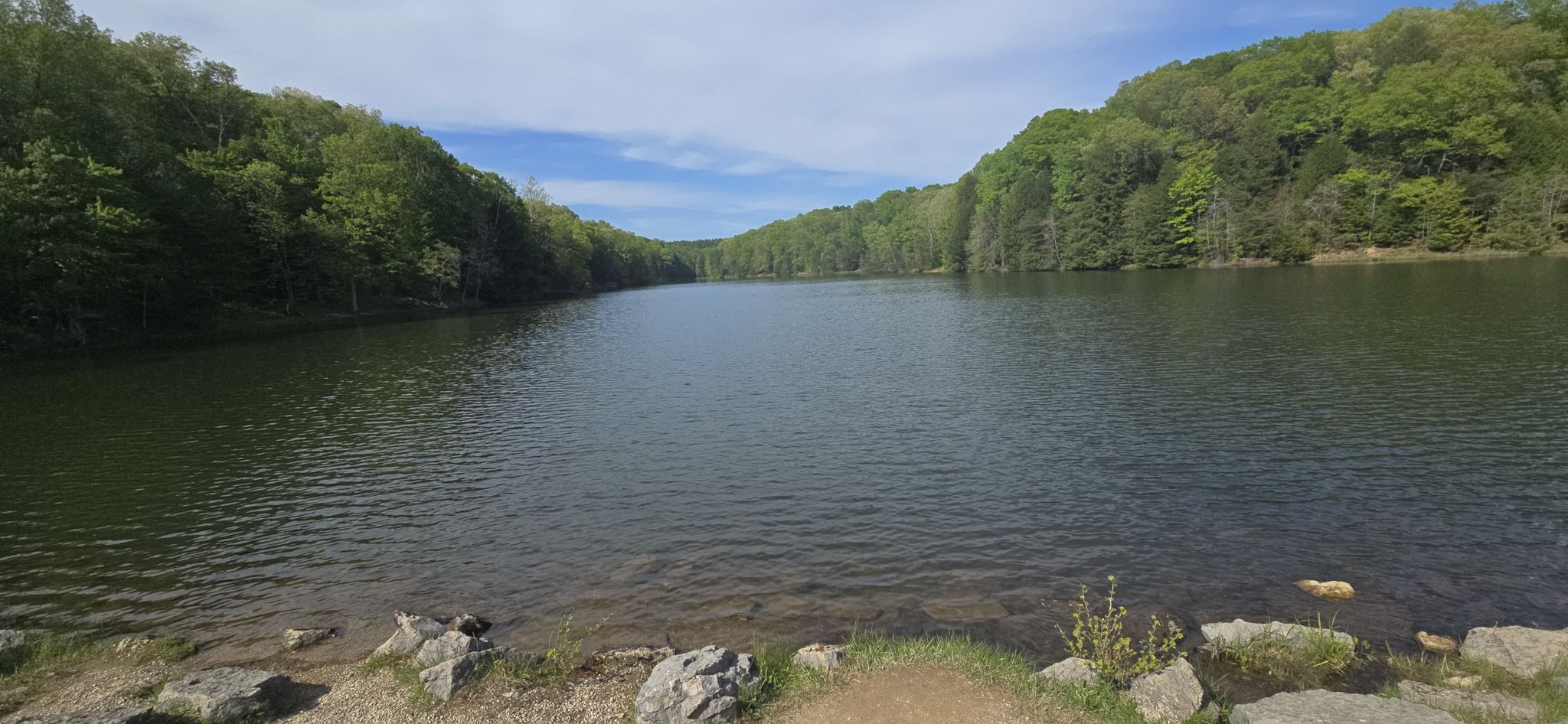 Calm lake surrounded by green forested hills under a bright blue sky. - Gorge Overlook Loop via Buckeye Trail