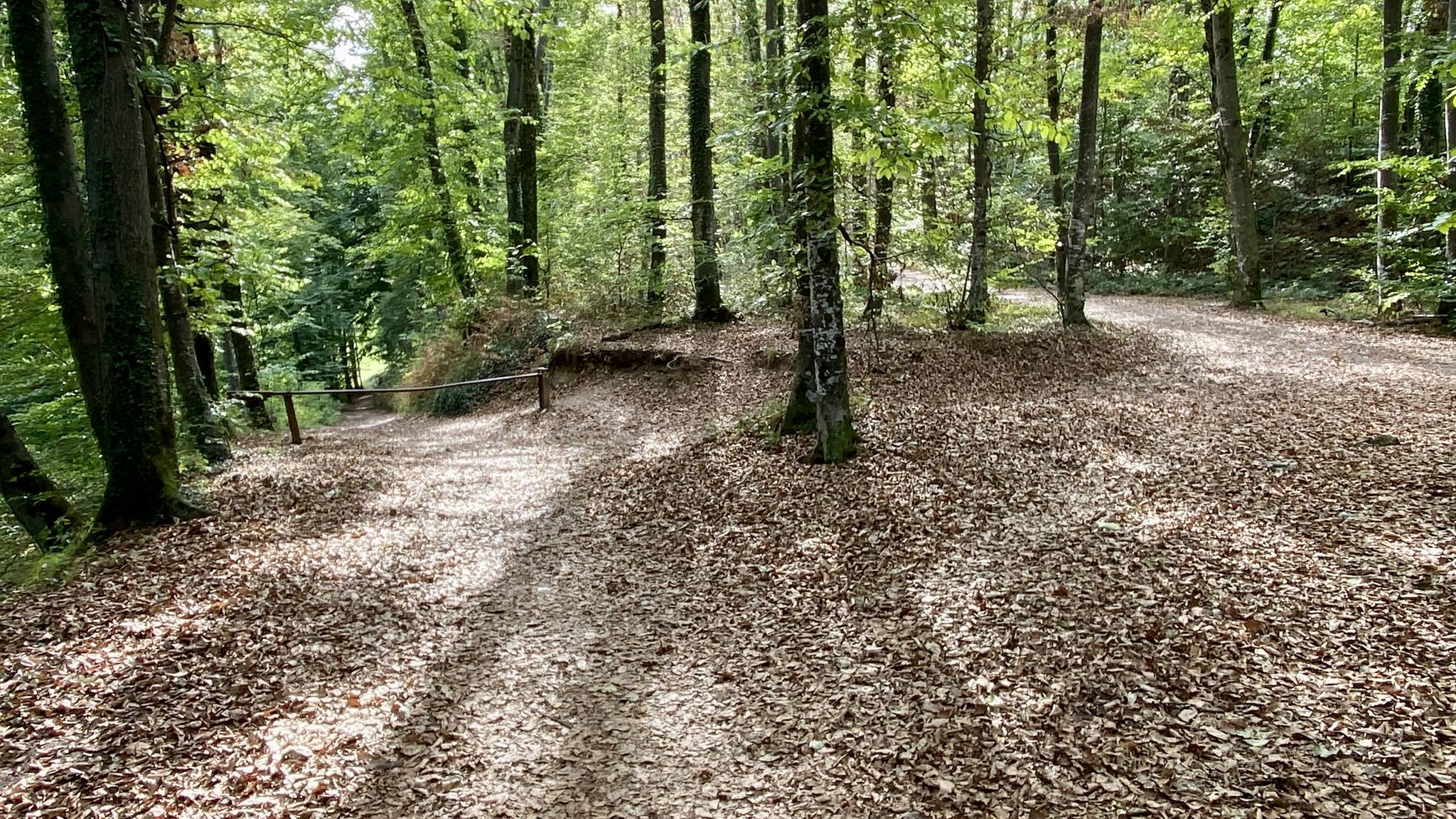 Oben zwischen Asamer-Ohlsdorf ..