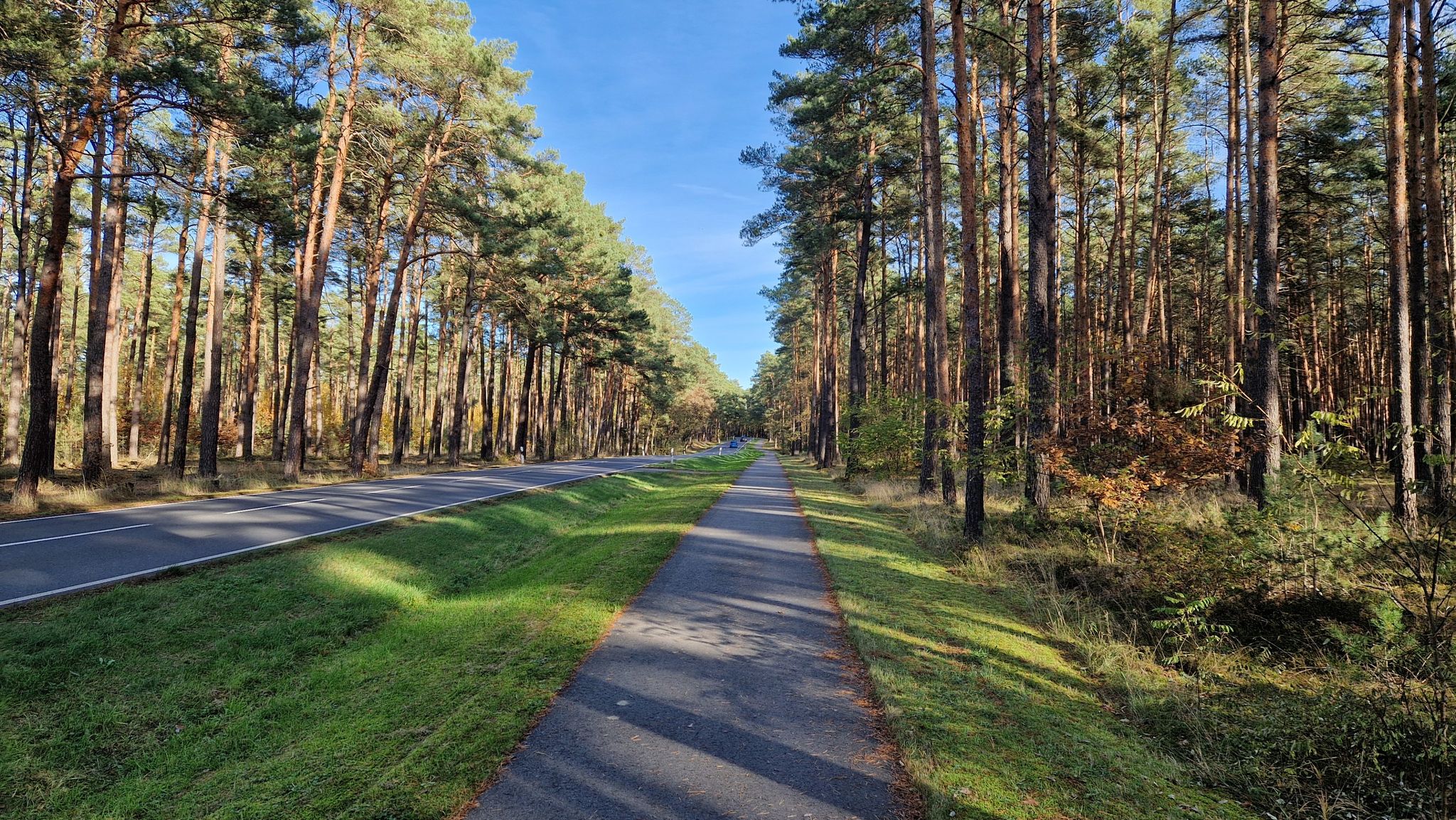 Radweg zwischen Brück und Beelitz