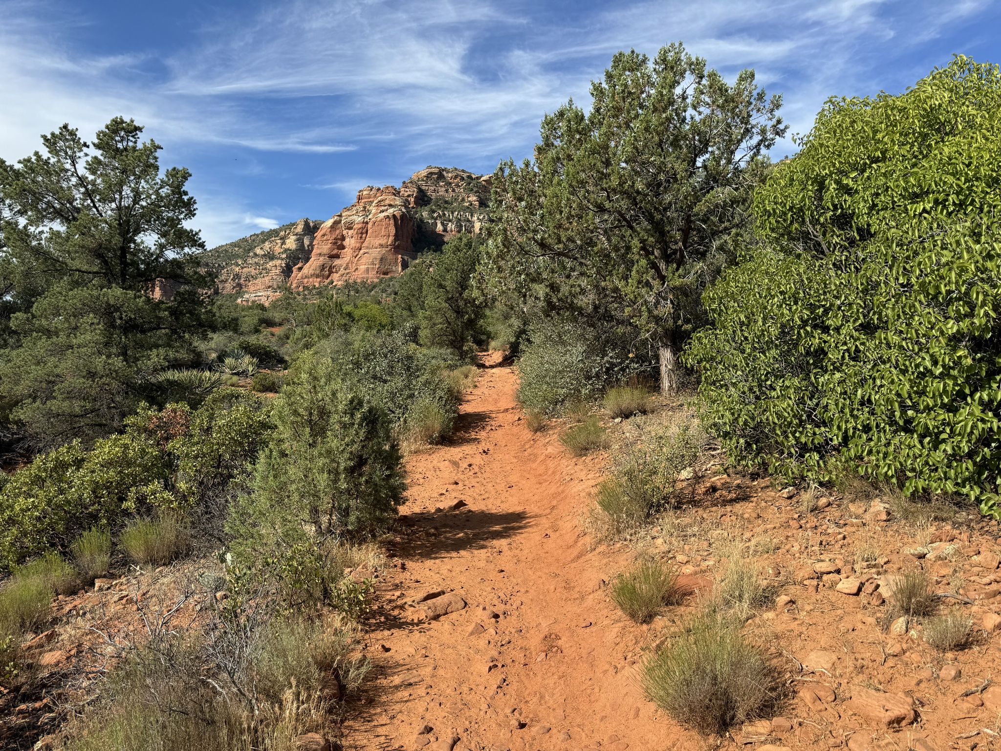 A winding red dirt trail through green trees and desert shrubs. - Slim Shady, Templeton and Easy Breezy Loop