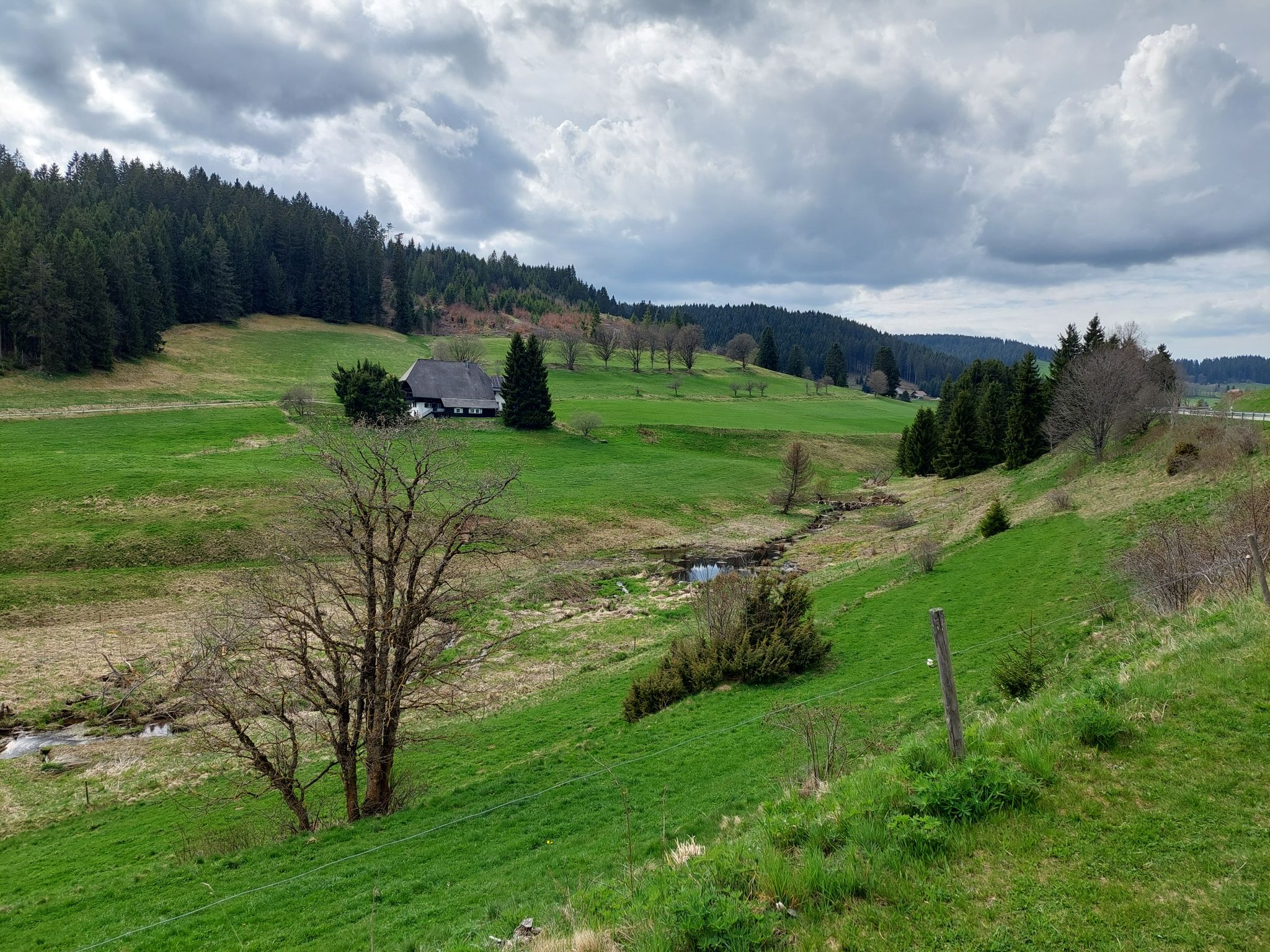 L156 Schluchseestraße, Fischbach Richtung Schluchsee