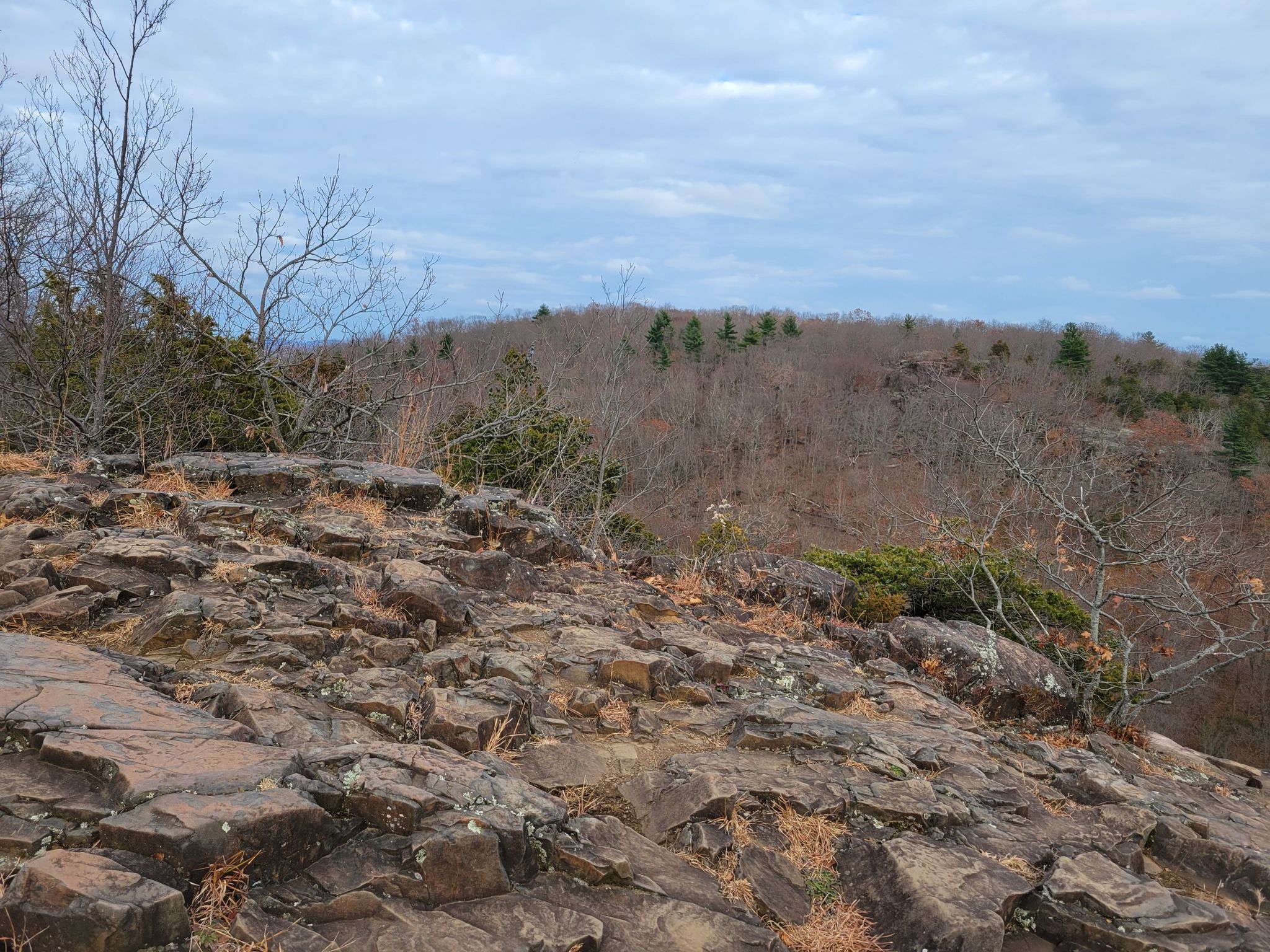 Rocky foreground on a hill, overlooking a bare, wooded landscape under a cloudy sky. - Quinnipiac and Tower Trail Loop