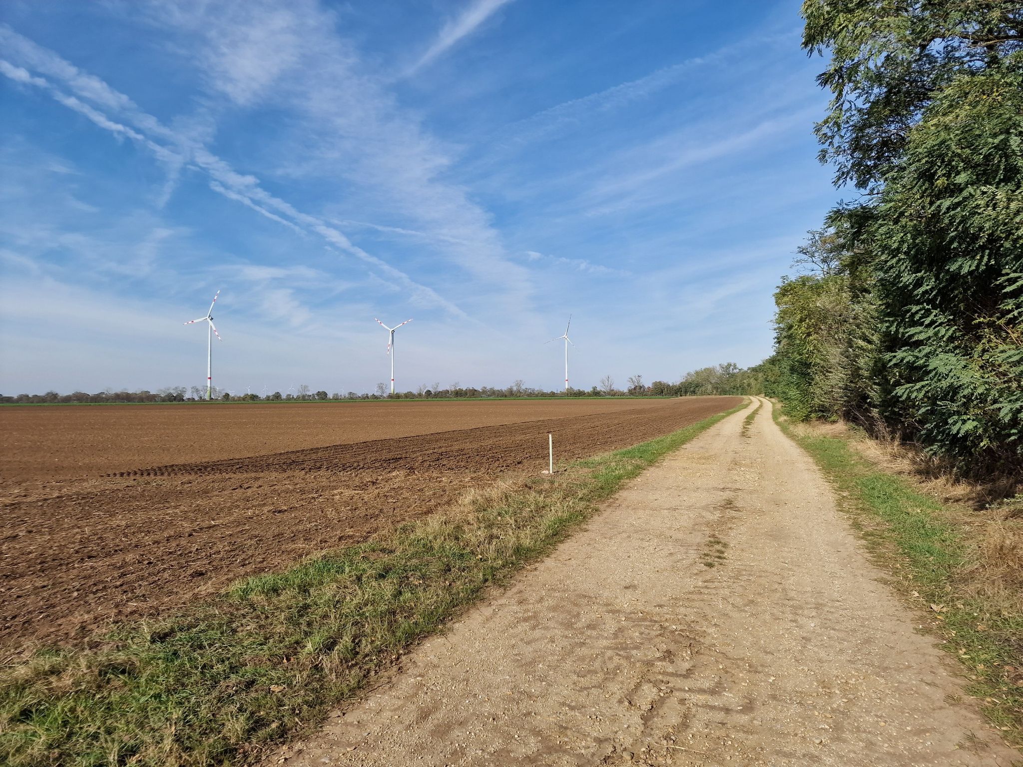 Start in Schönfeld im Marchfeld
