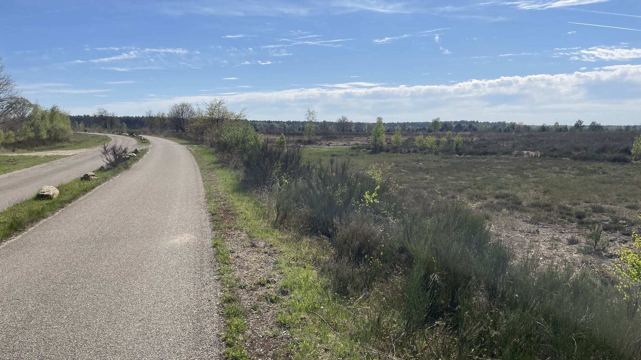 Mechelse Heide