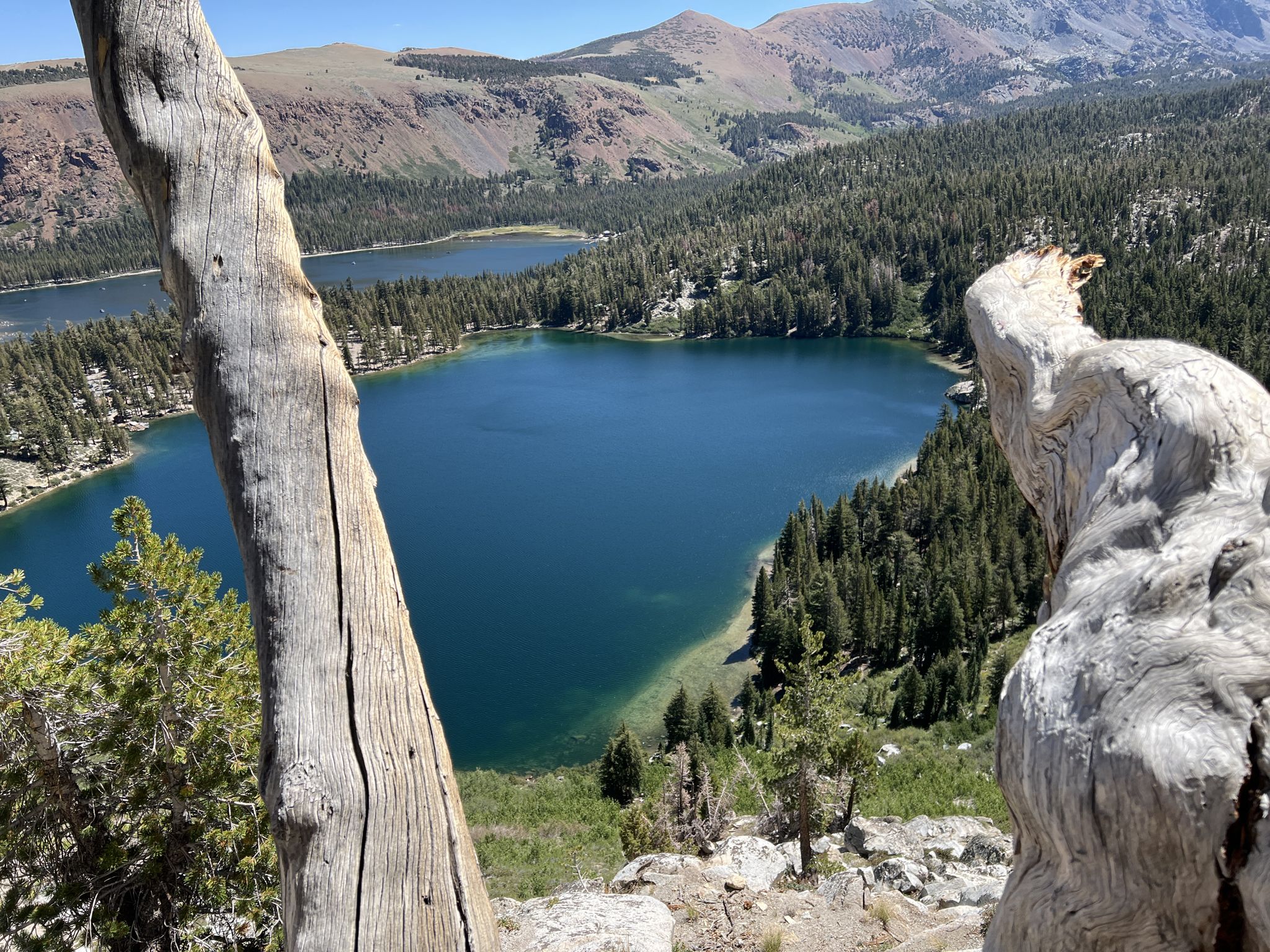 Two vibrant blue lakes framed by tree trunks, surrounded by forests and mountains. - Lakes Basin Loop