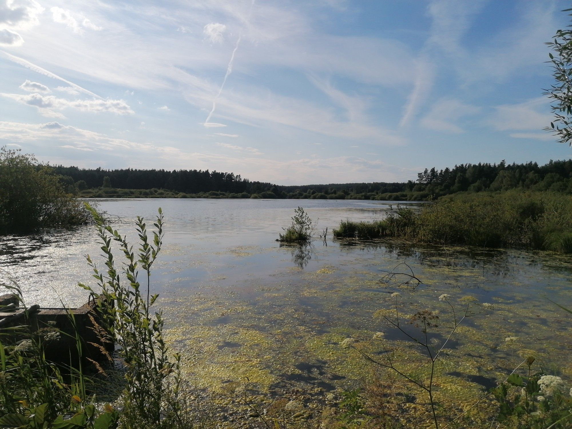 oberer russweiher