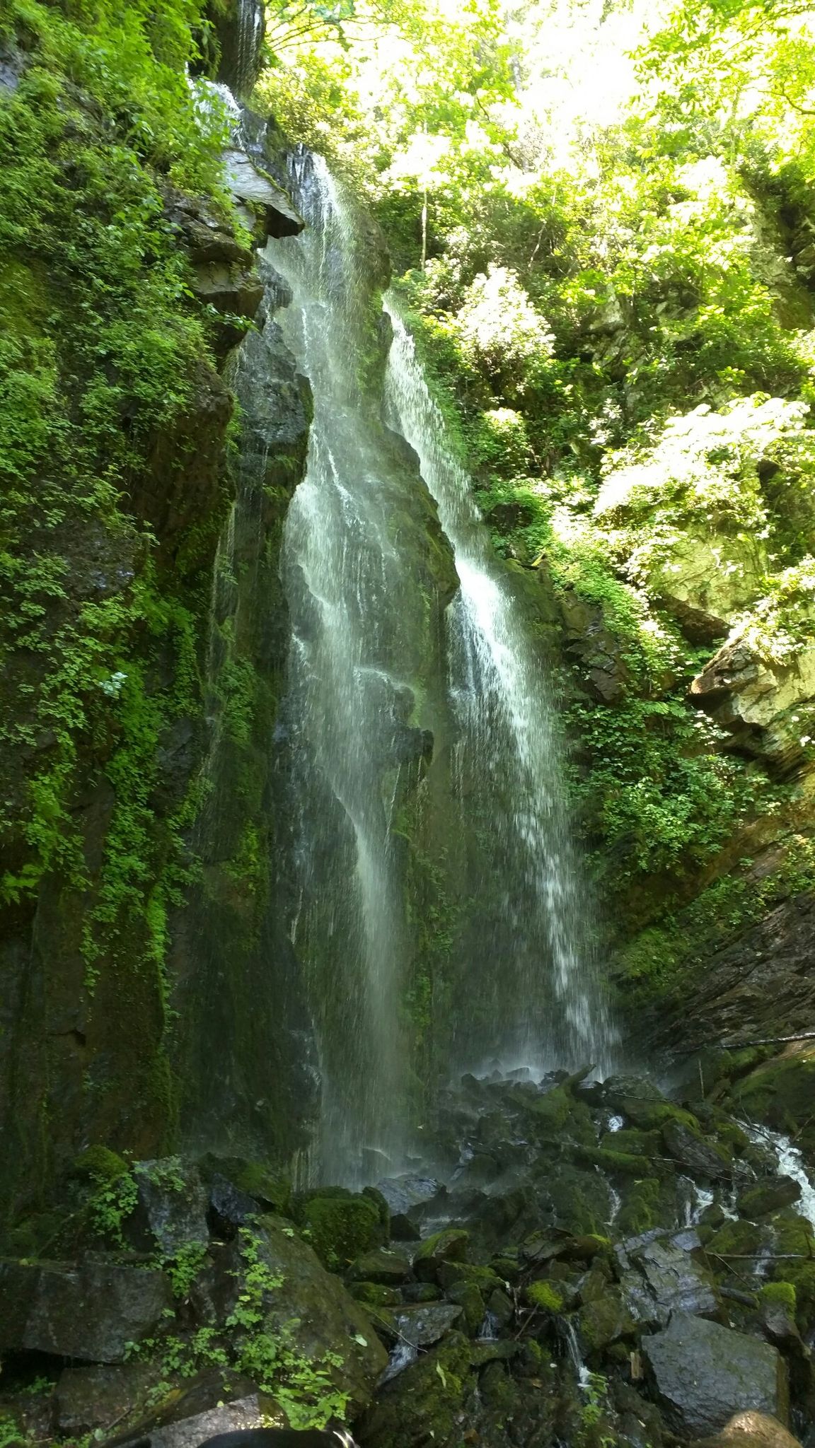 Lee falls