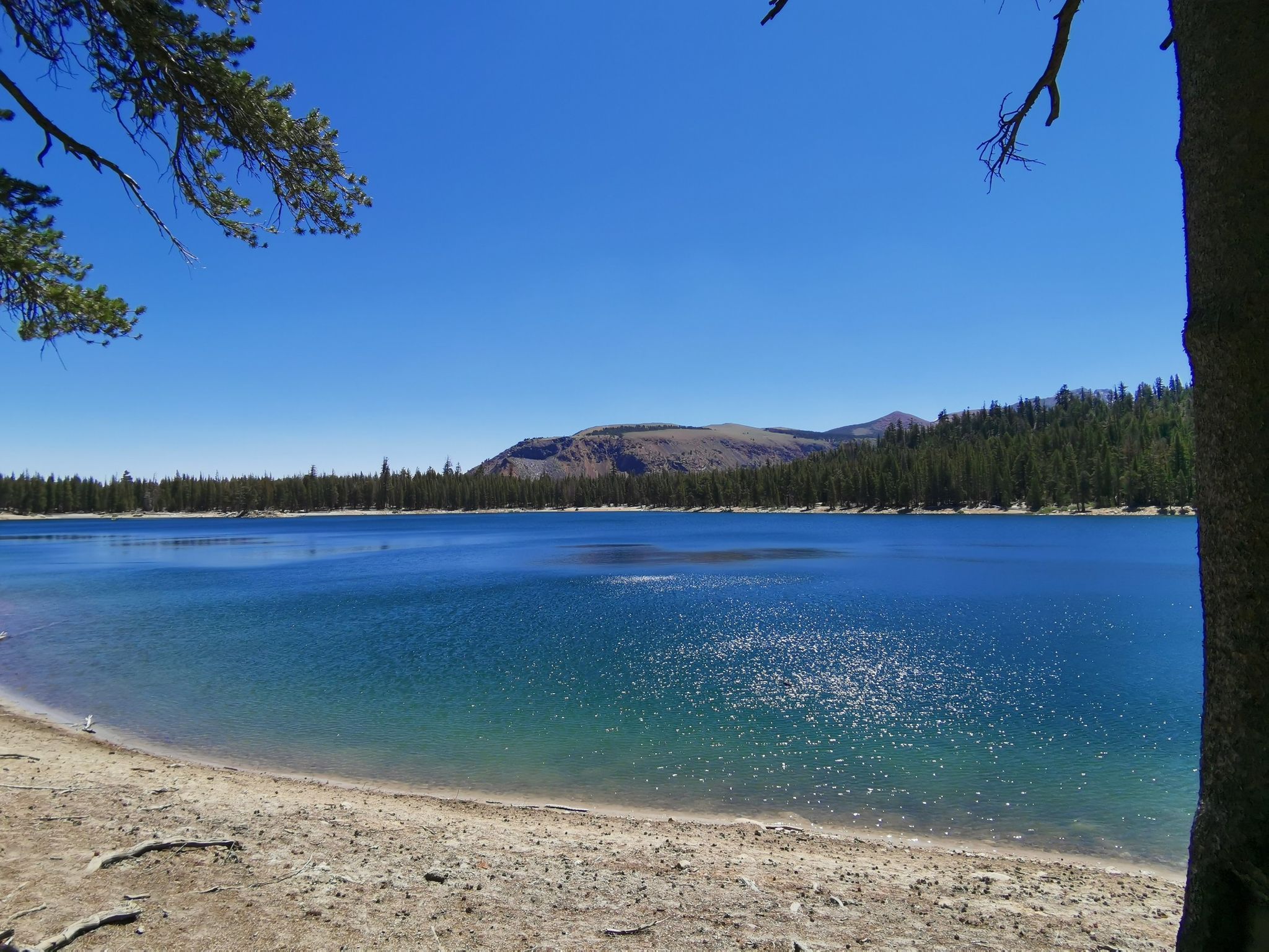Sunny lake with sparkling water, sandy shore, and distant mountains. - Horseshoe Lake Trail