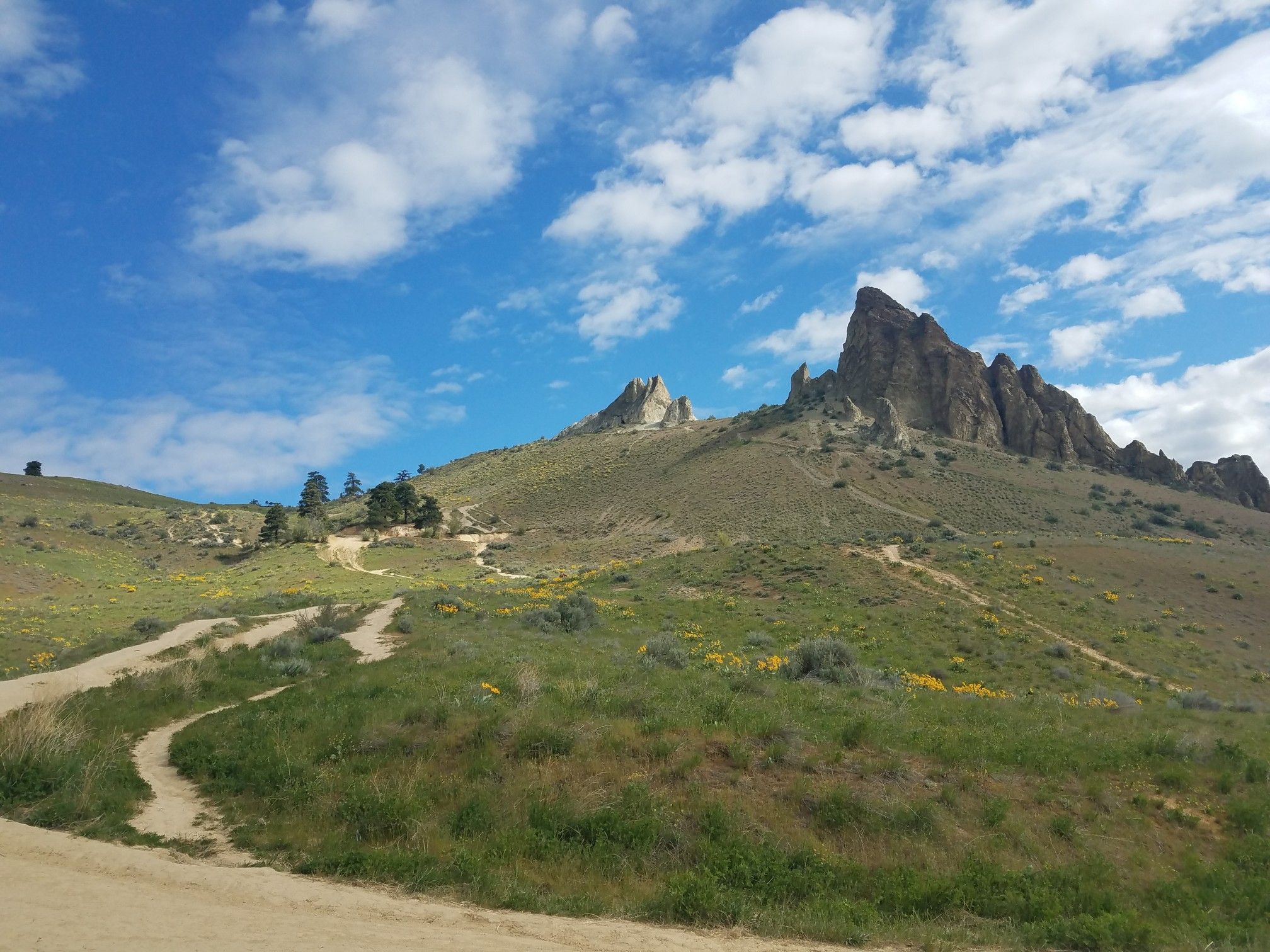 Back of Saddlerock