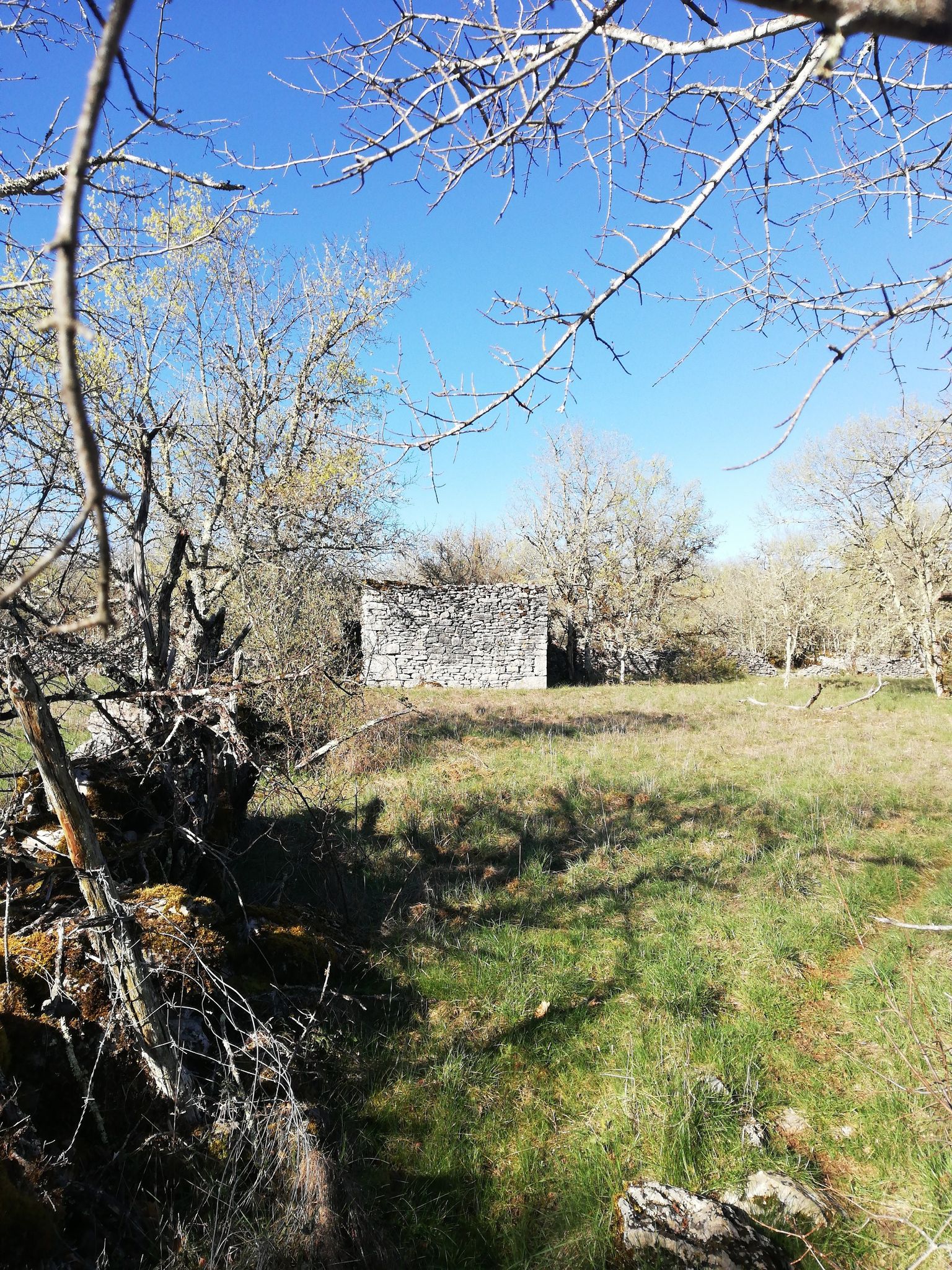 cabane