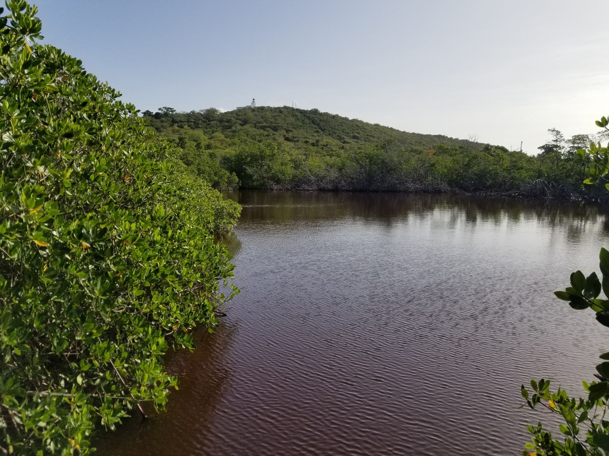 second trail