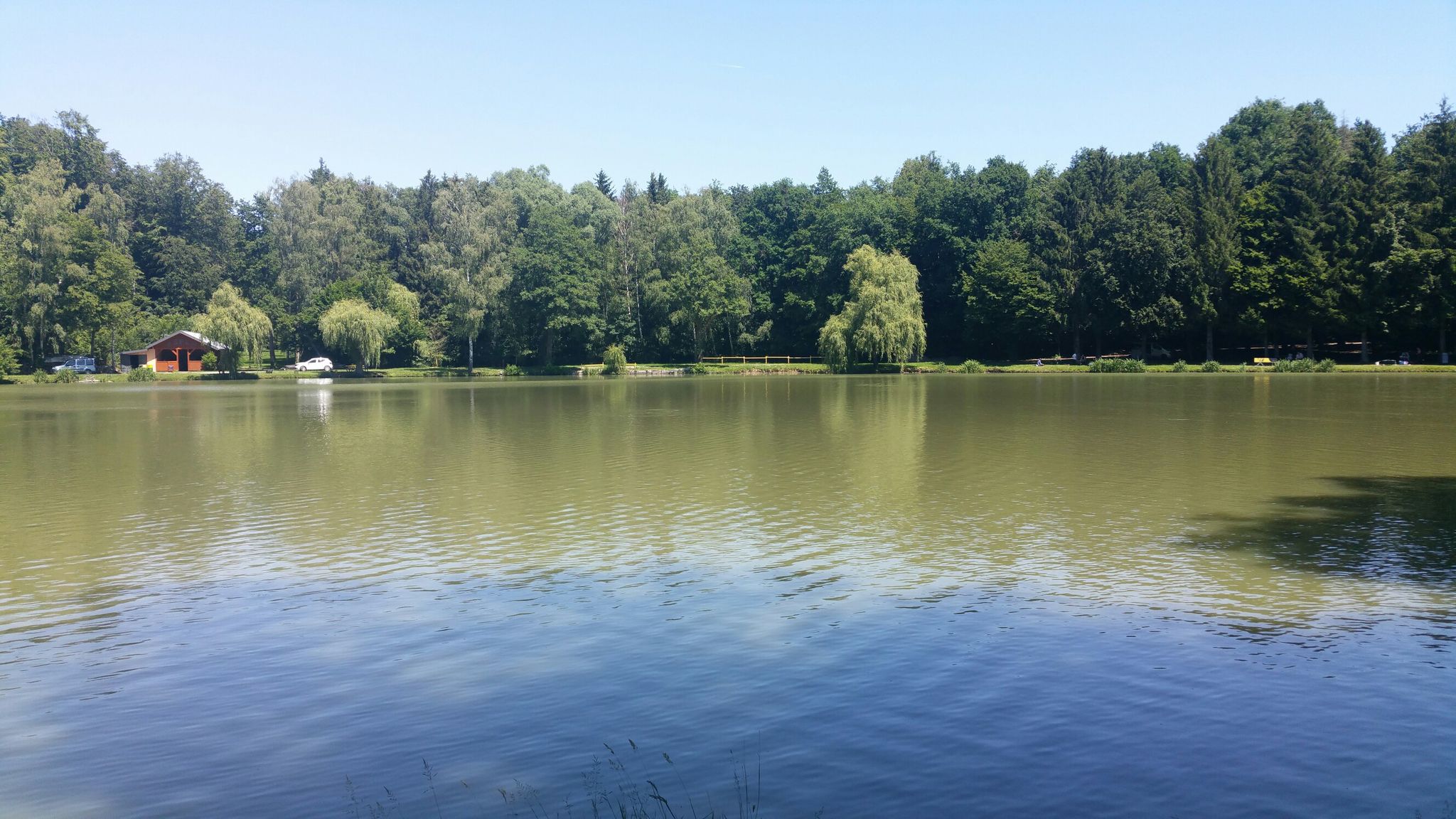 Riedweiher, läd zum verweilen ein. Sehr schöner See