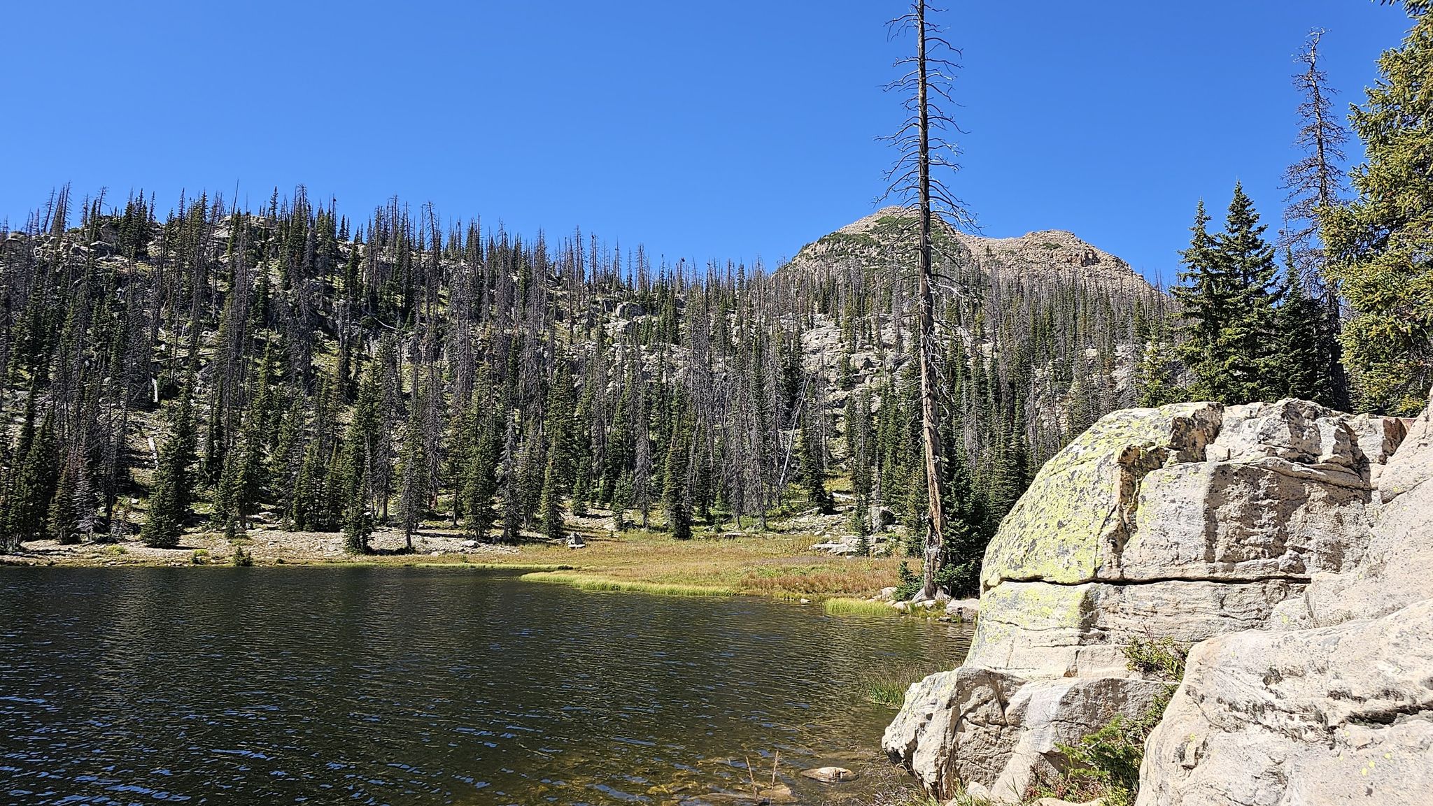 Lake with large rocks and dense pine forest under a clear blue sky. - Lakes Country Trail