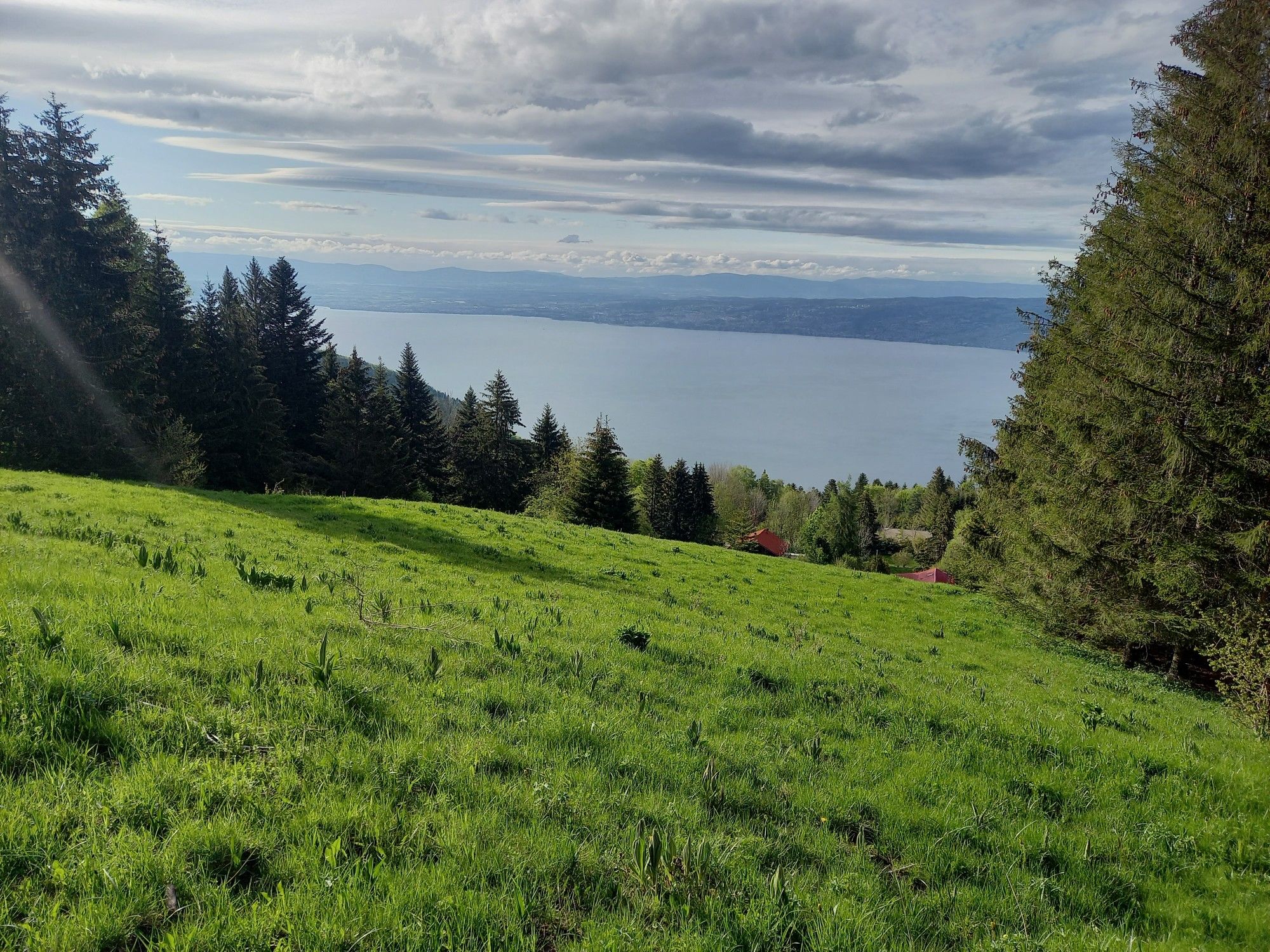 vue sur lac leman