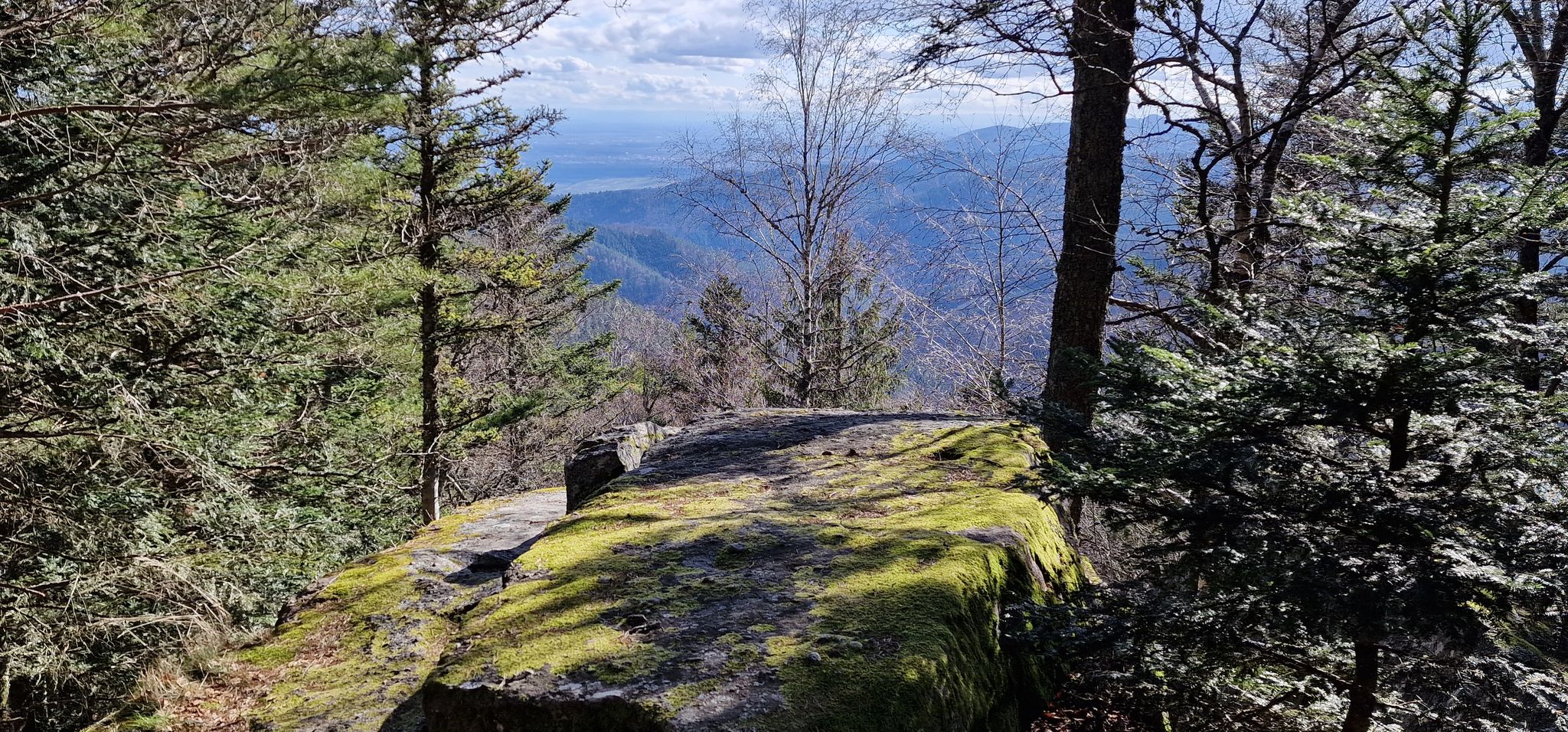 Blick in Richtung Schwarzwald 