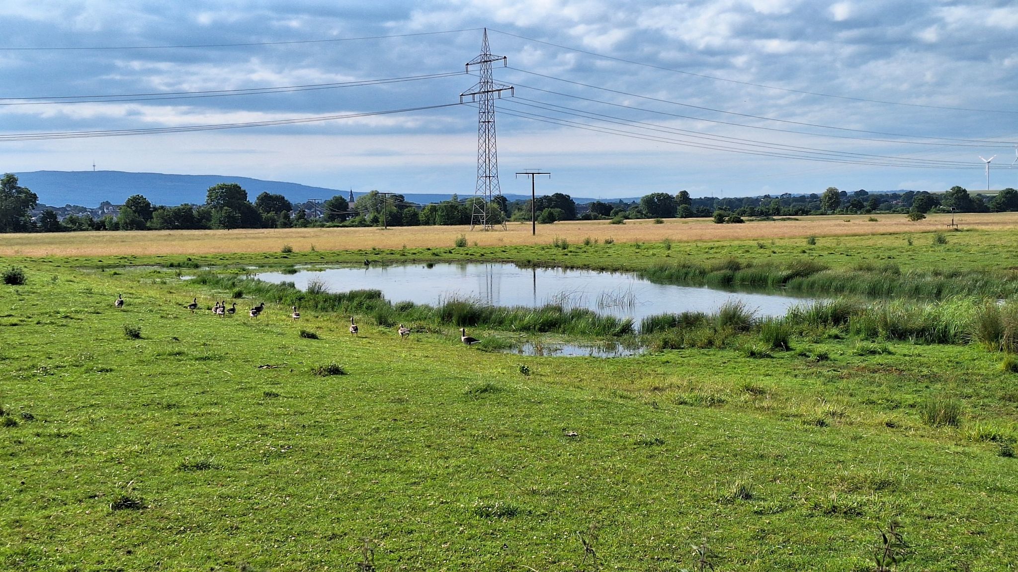Der See vom Auenprojekt Niederwiesen