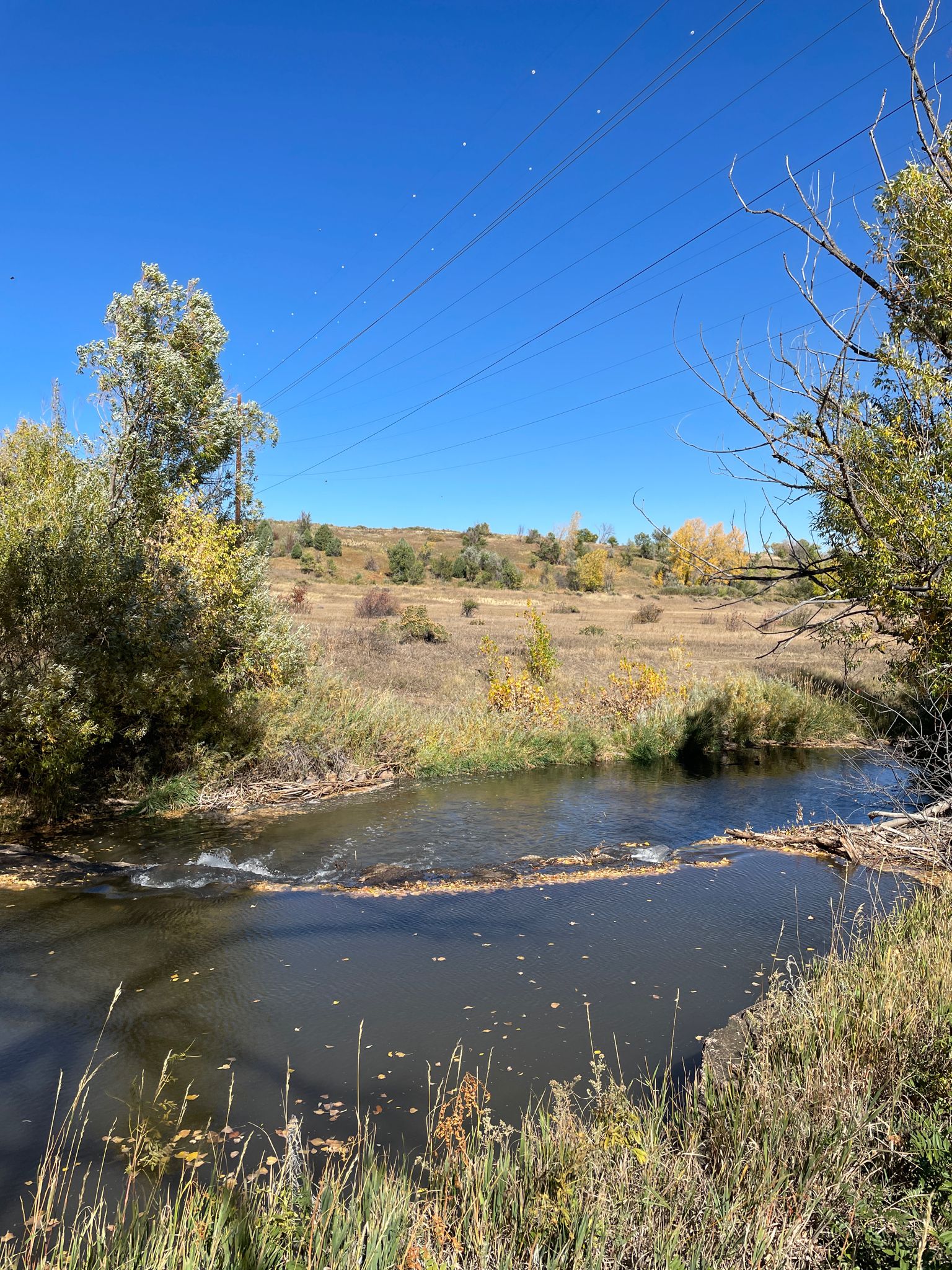Clear stream flowing through autumn trees and grassy fields under power lines. - Mount Carbon Loop