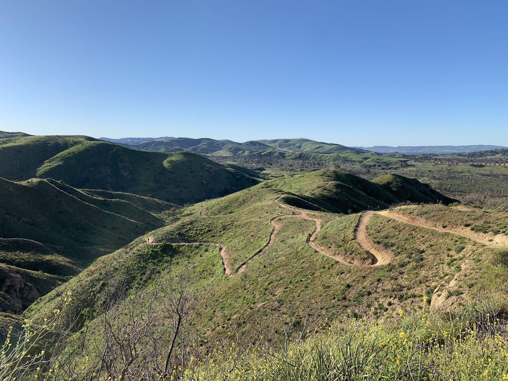 Green rolling hills with winding dirt trails under a clear blue sky. - Robber's Peak and Barham Ridge Loop