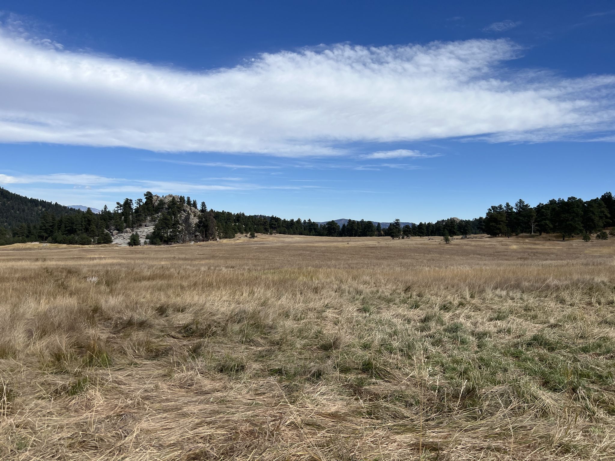 Wide expanse of dry grass field with distant forested hills under blue sky. - Evergreen Mountain Summit Loop