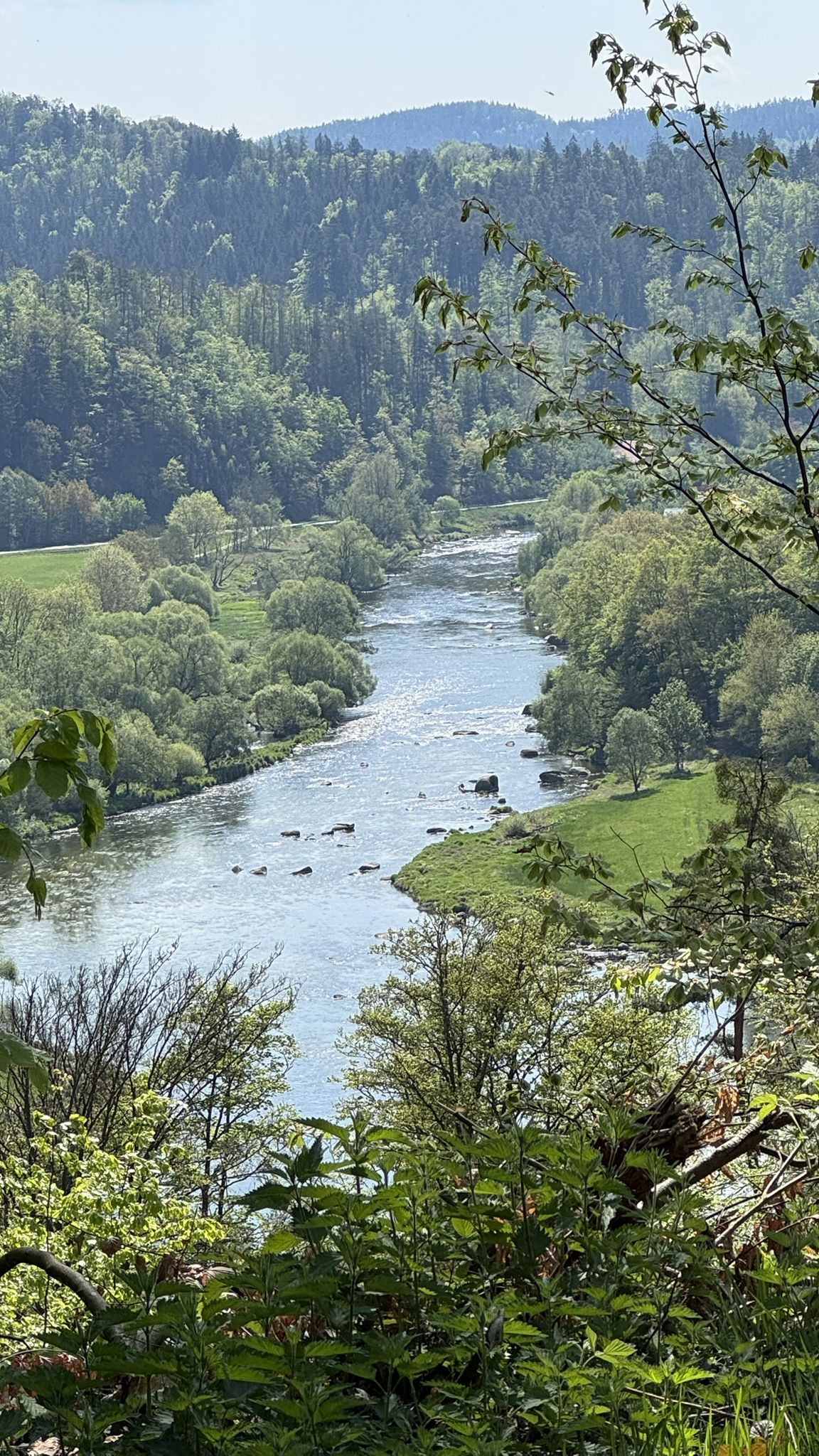 Blick auf den Regen ☺️