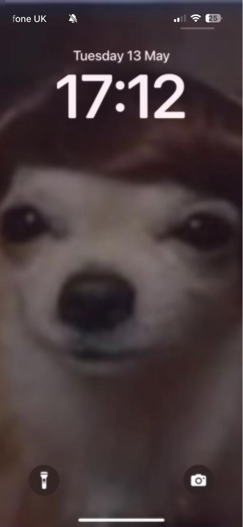 user avatar