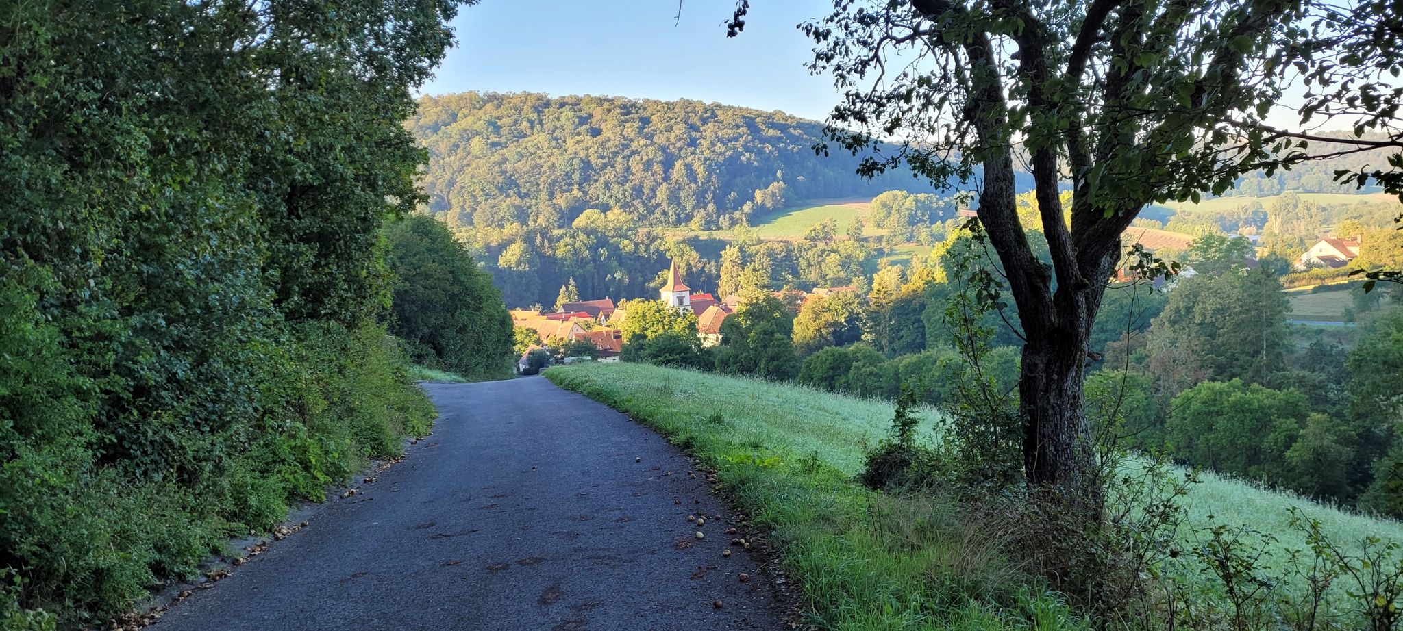 Tauberzell