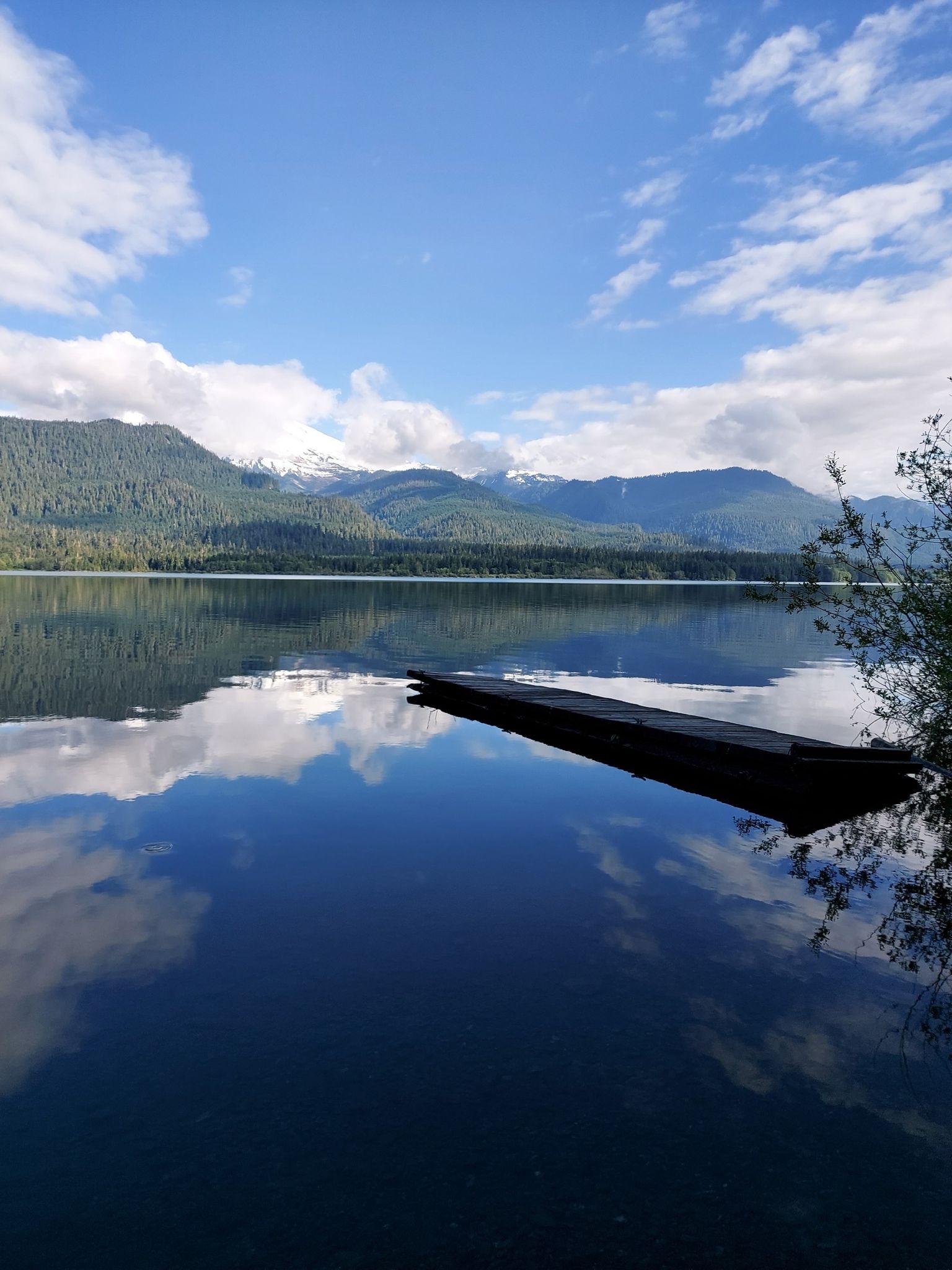 Calm lake reflecting clouds, with forested mountains and a submerged log. - Baker Lake Trail to Maple Grove Camp