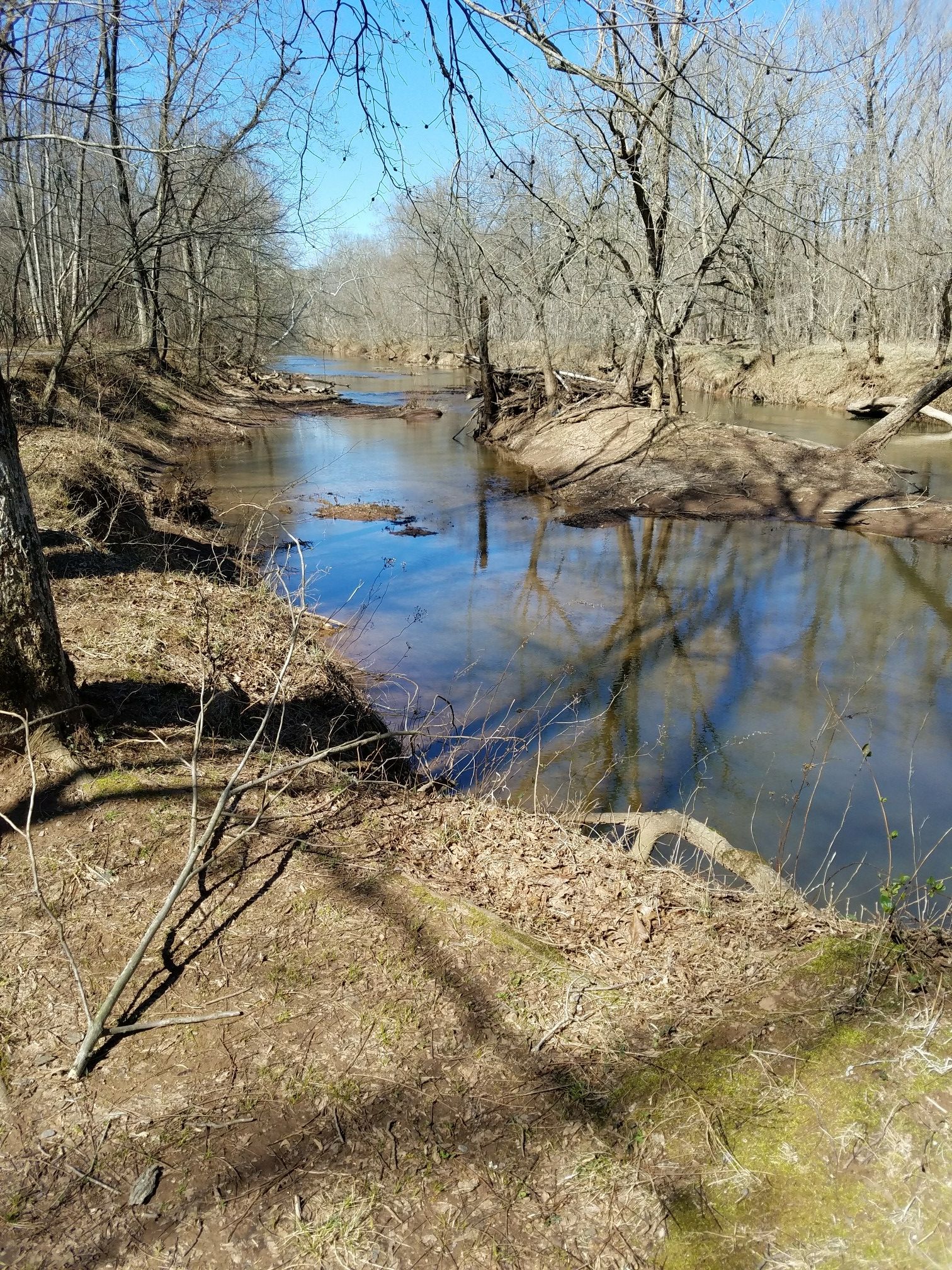 Wide river flowing through a bare winter forest under a blue sky. - Stone Bridge Loop Trail