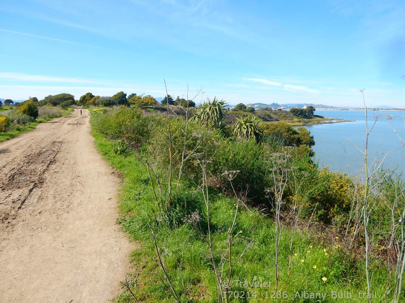 Dirt path curves beside calm water and green bushes on a sunny day. - Albany Bulb and Waterfront Trail