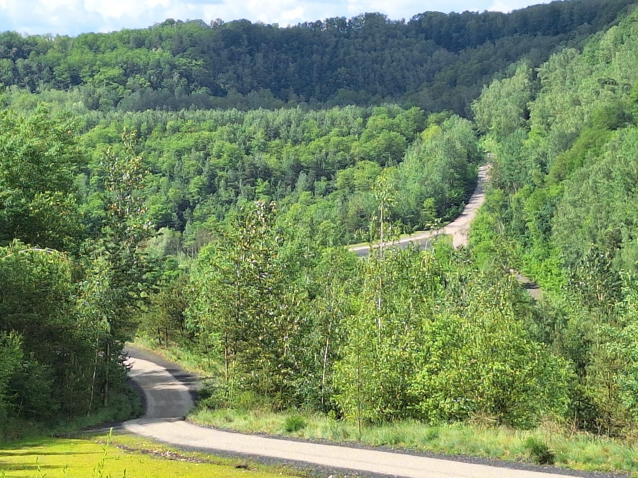 Neue Wege im Carríere Simon