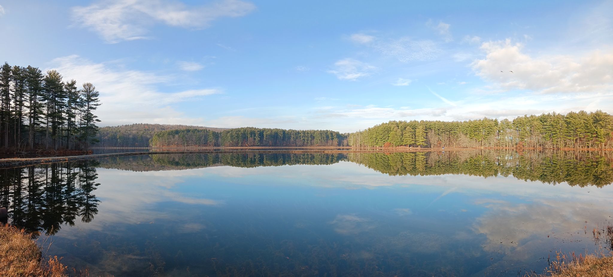 Calm lake reflecting a forested shoreline under a bright blue sky. - Ashley Reservoir Trail