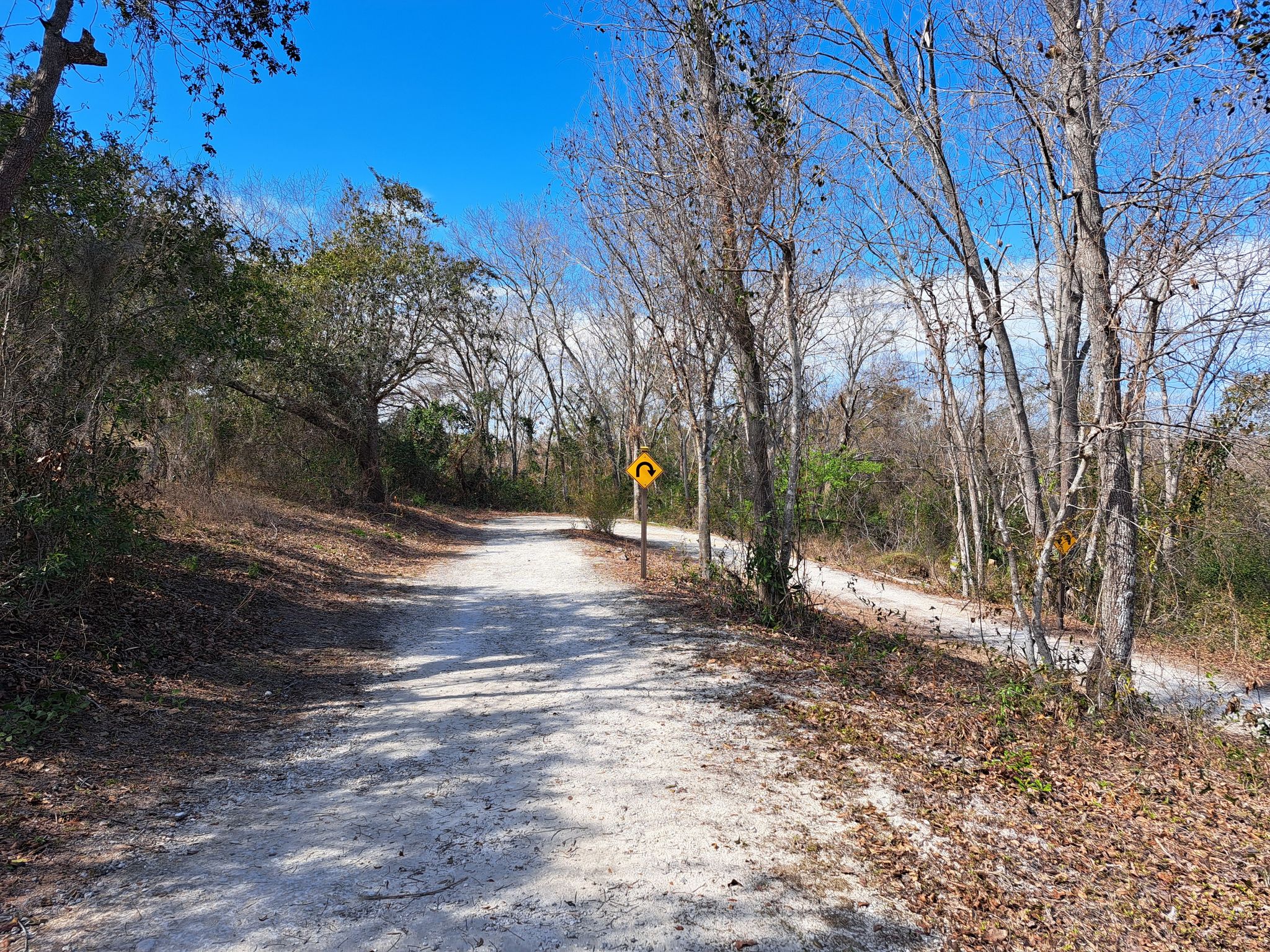 A shaded dirt path through bare trees with a yellow curve sign. - Clay Island Loop Trail