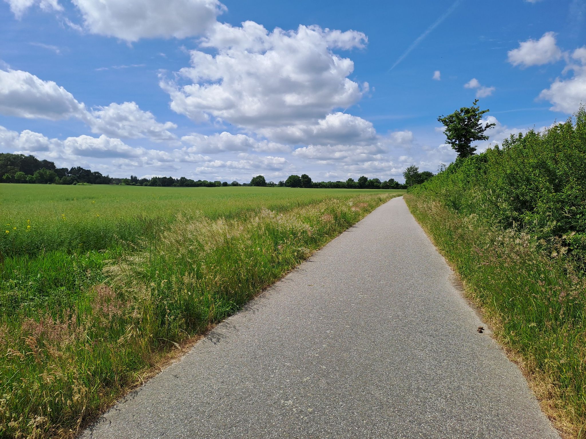 Wiershoper Weg