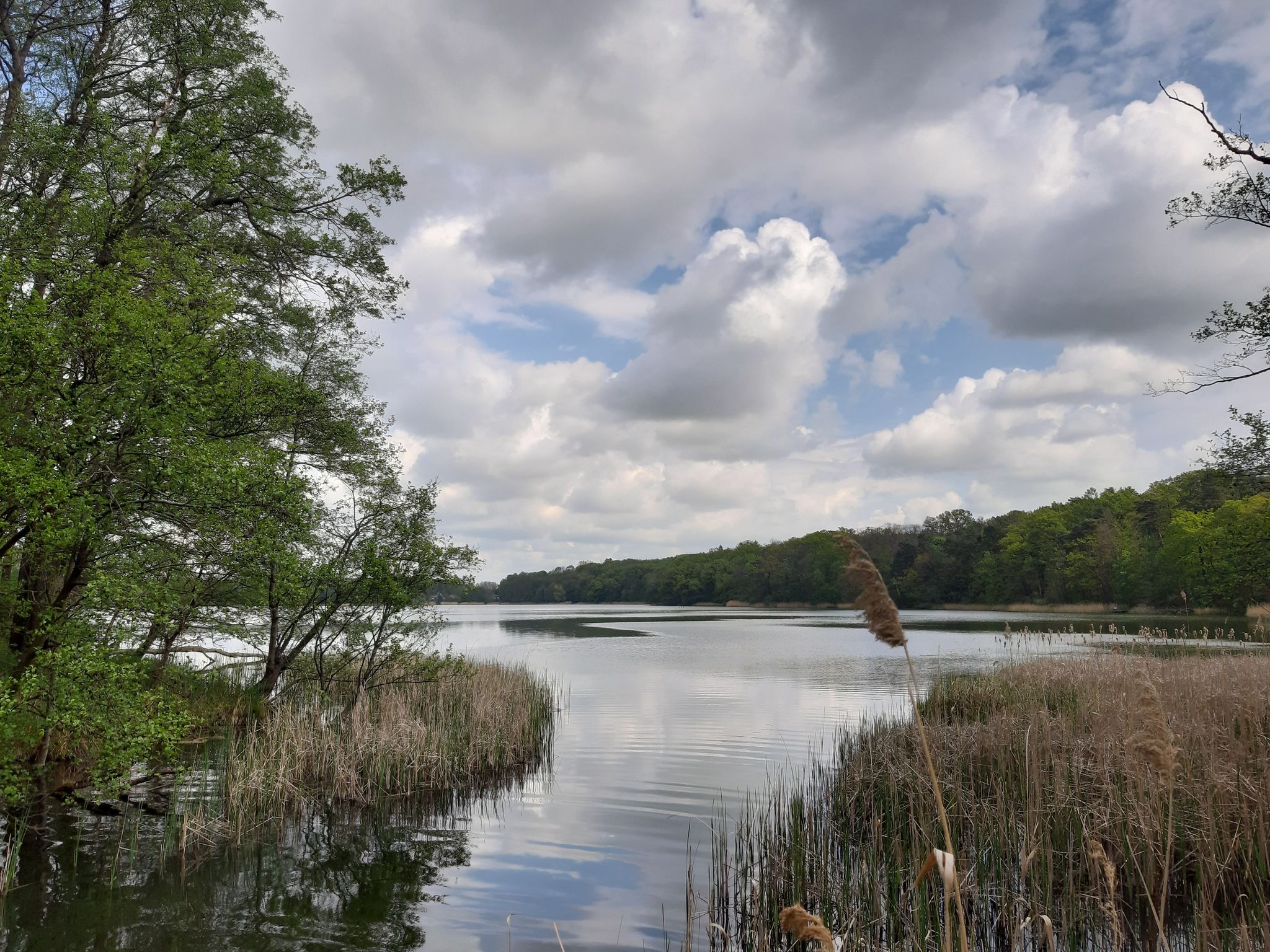 Schwarzer See 