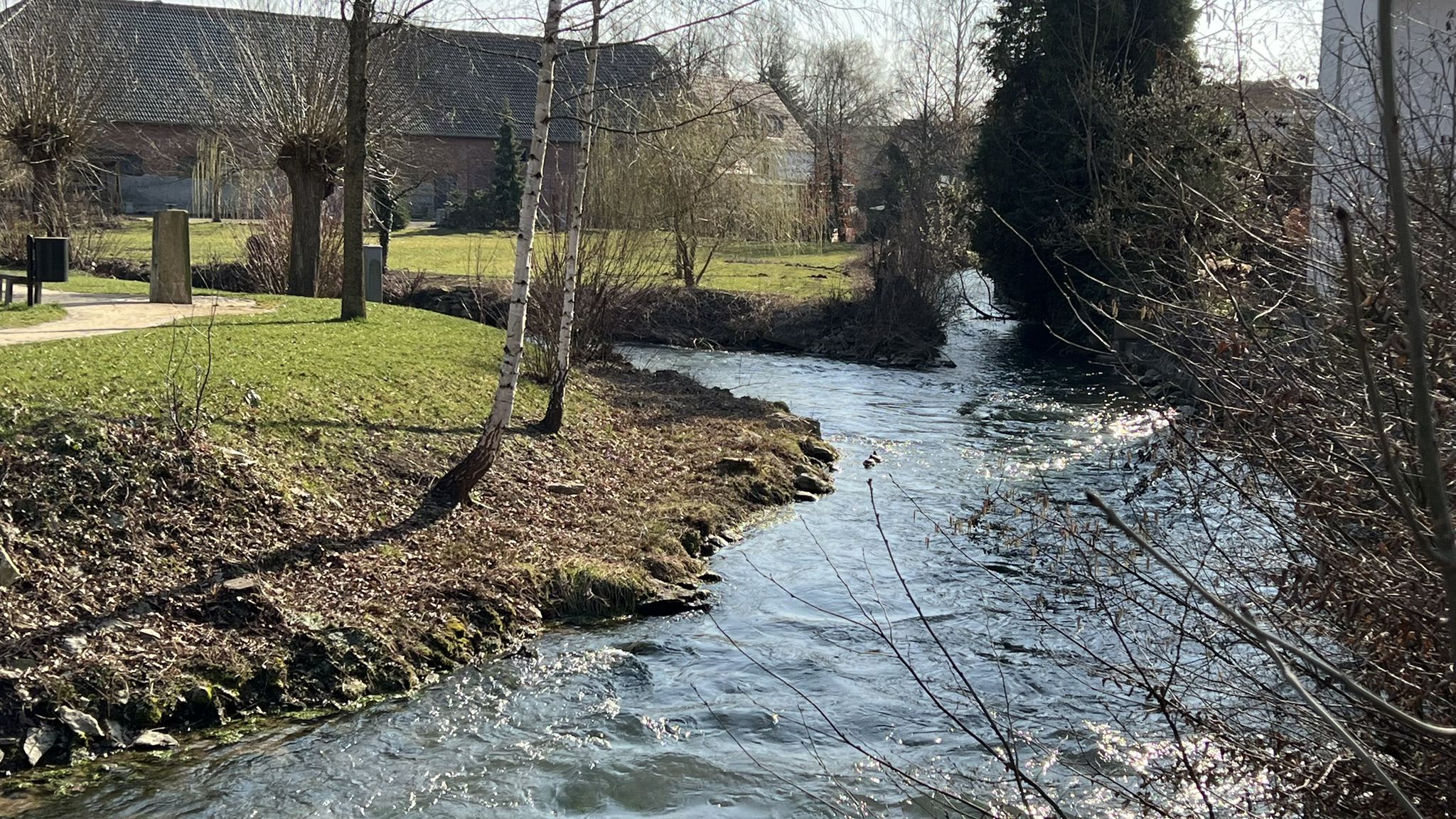 die Heder in Upsprunge