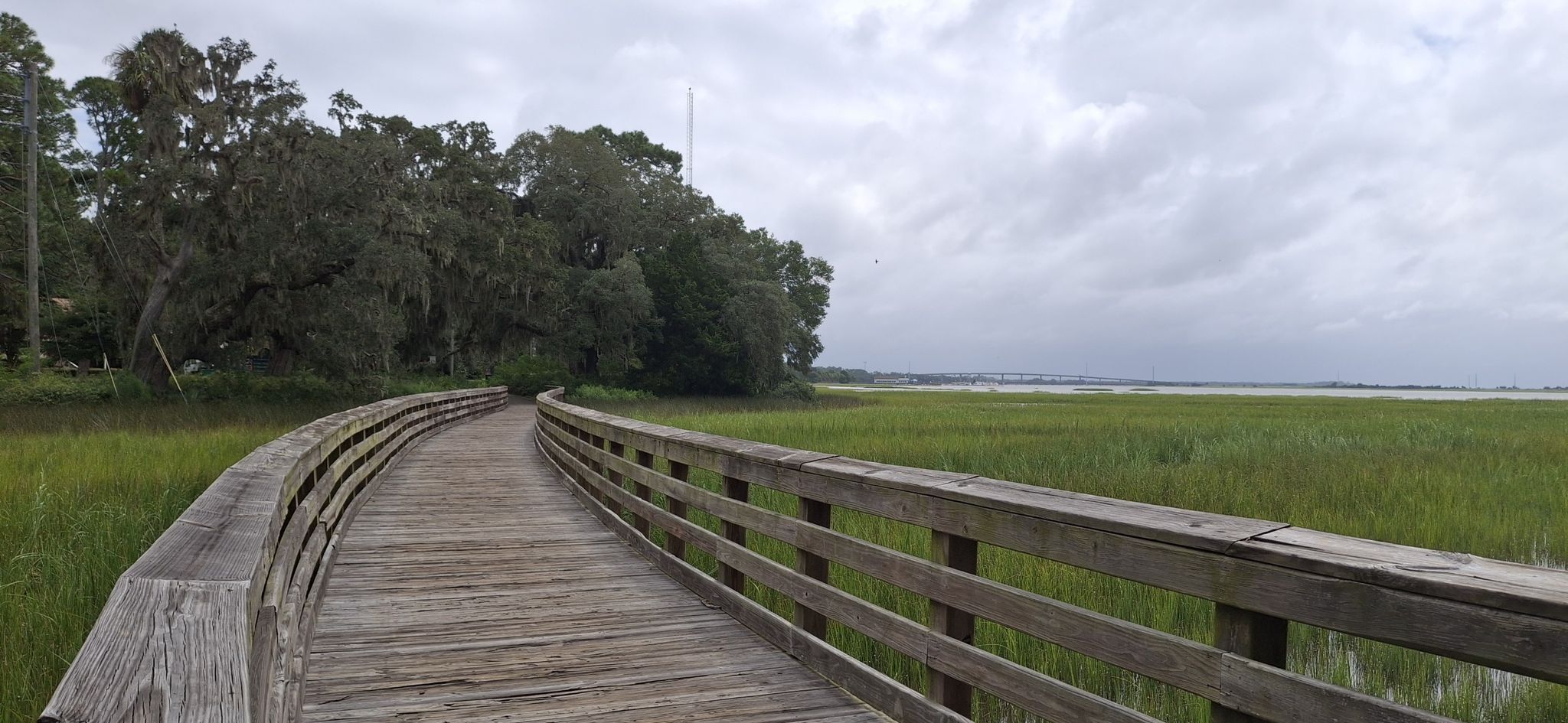 A curved wooden boardwalk extends through a green marsh toward distant trees. - Driftwood Beach – Jekyll Island Beach Park loop from Jekyll Island
