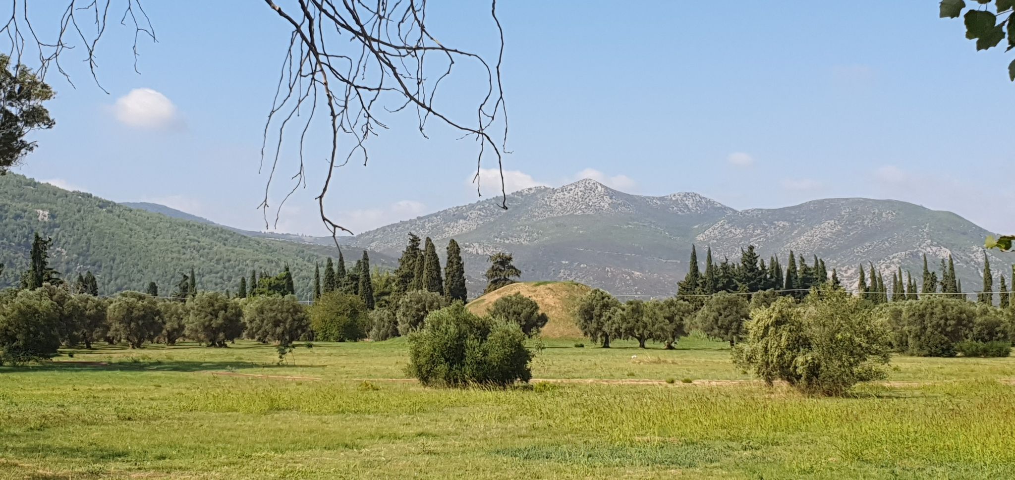 Τύμβος Αθηναίων Μαραθωνομάχων